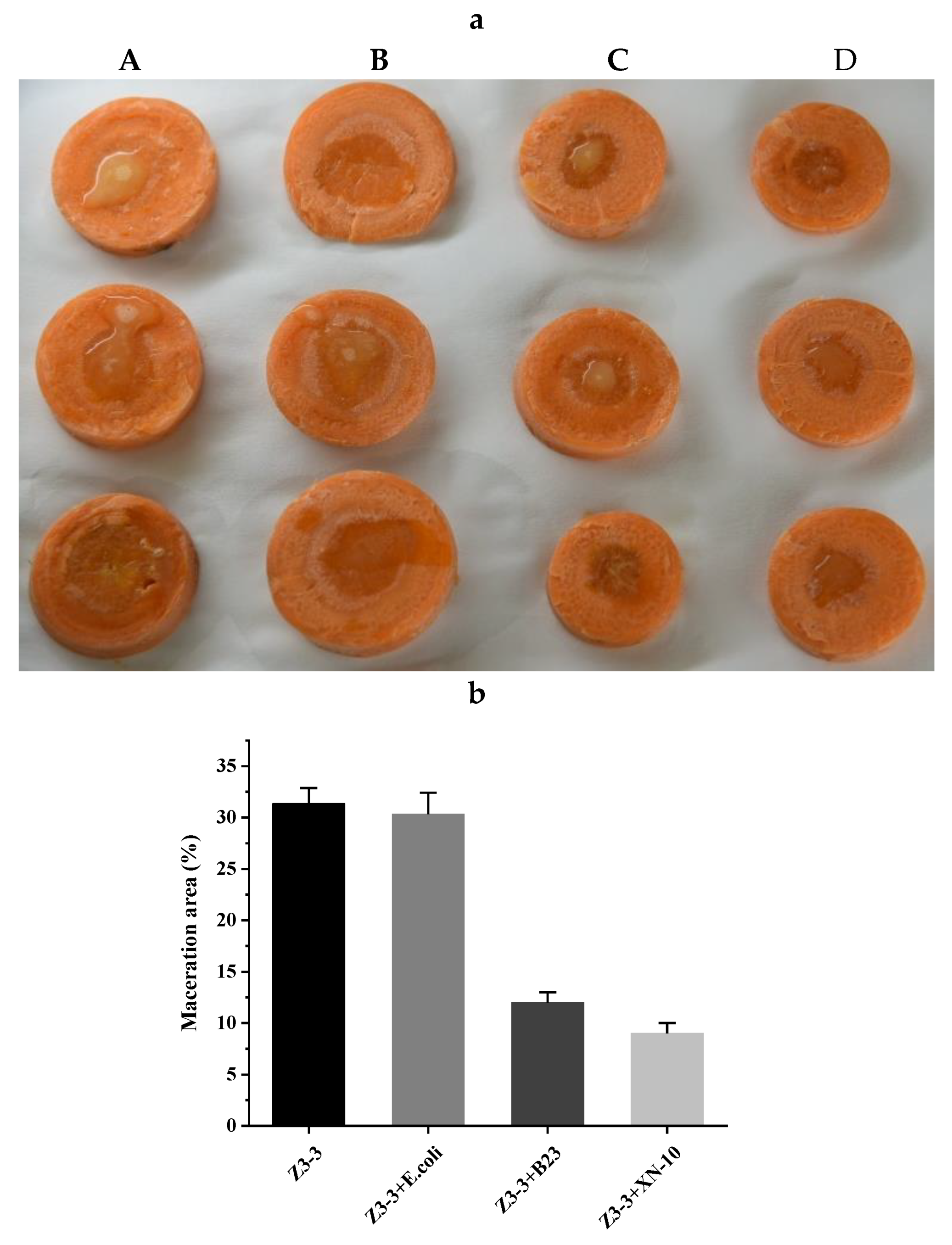 Microorganisms 08 01100 g007