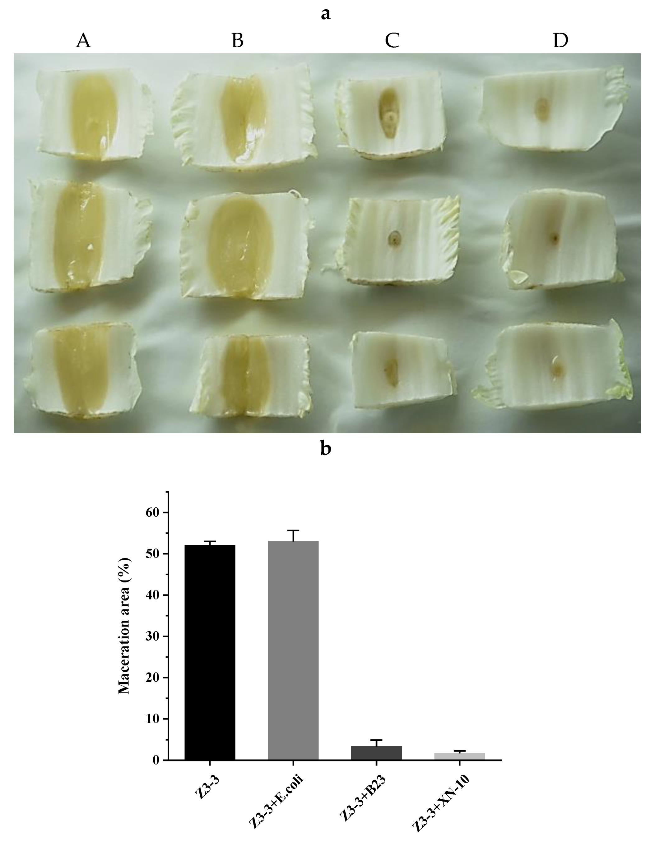 Microorganisms 08 01100 g008