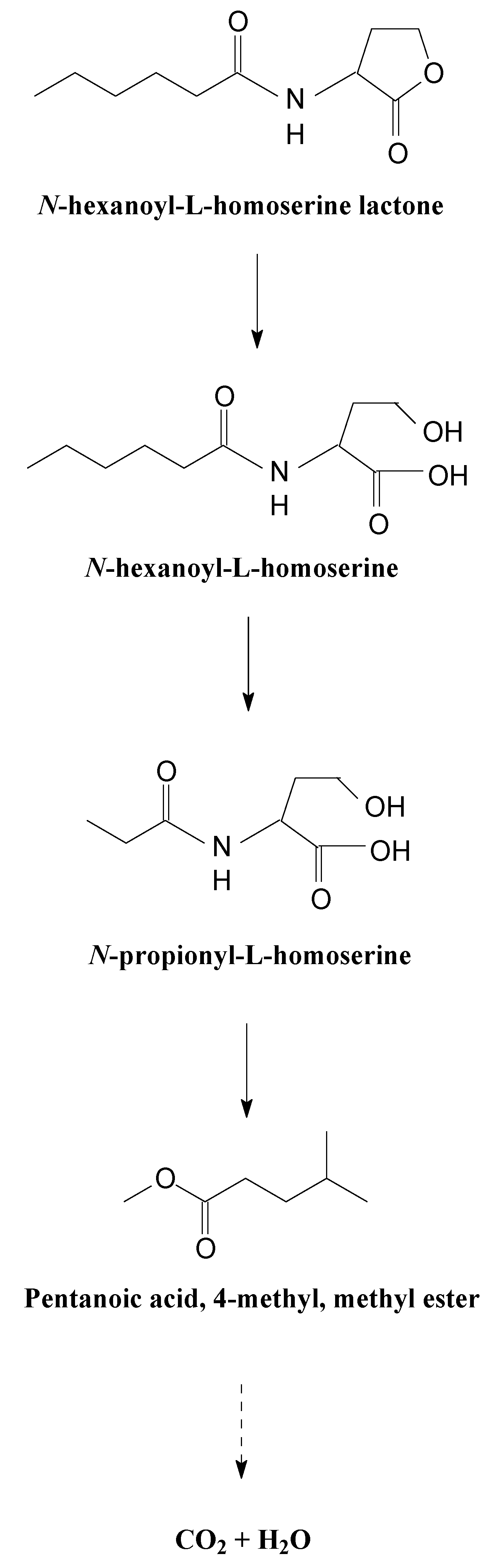 Microorganisms 08 01100 g009