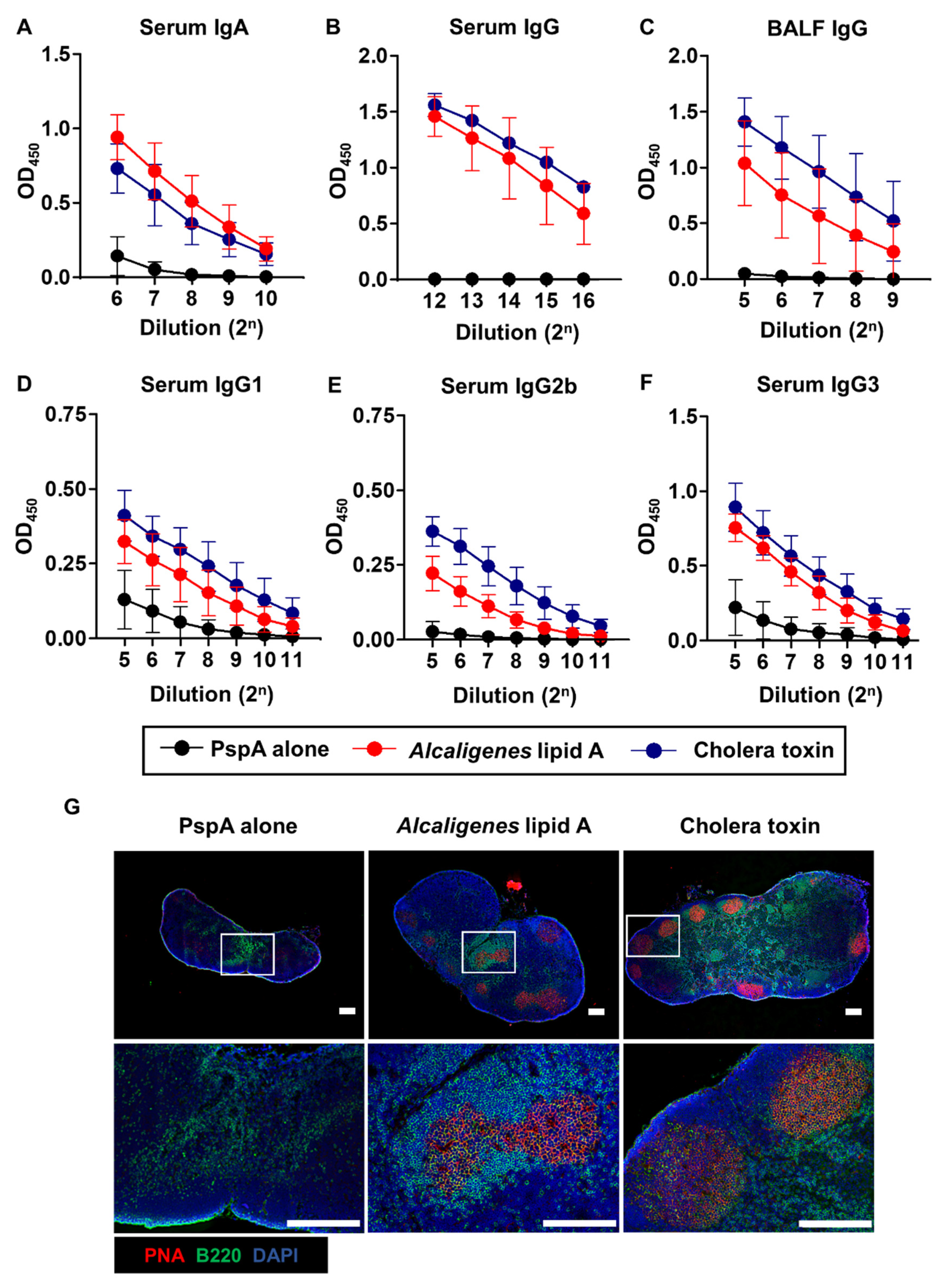Microorganisms 08 01102 g002 Microorganisms 08 01102 g002