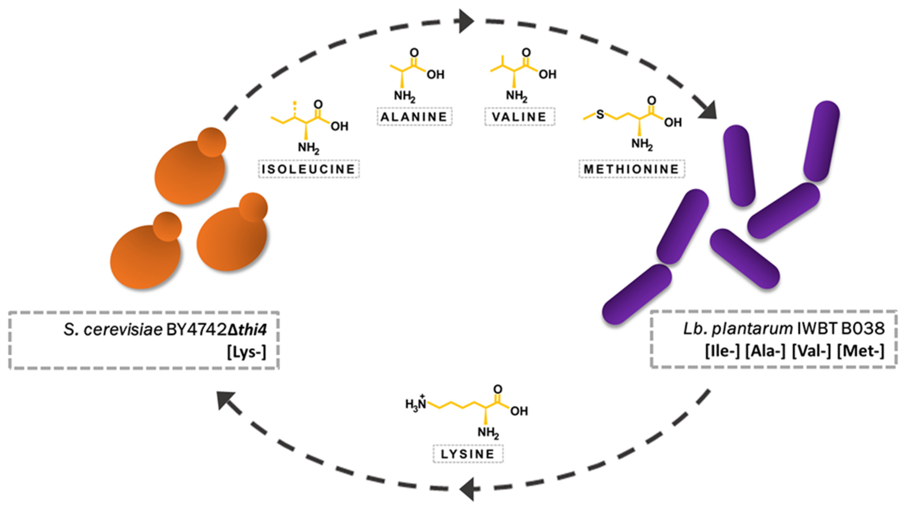 Microorganisms 08 01109 g001 Microorganisms 08 01109 g001