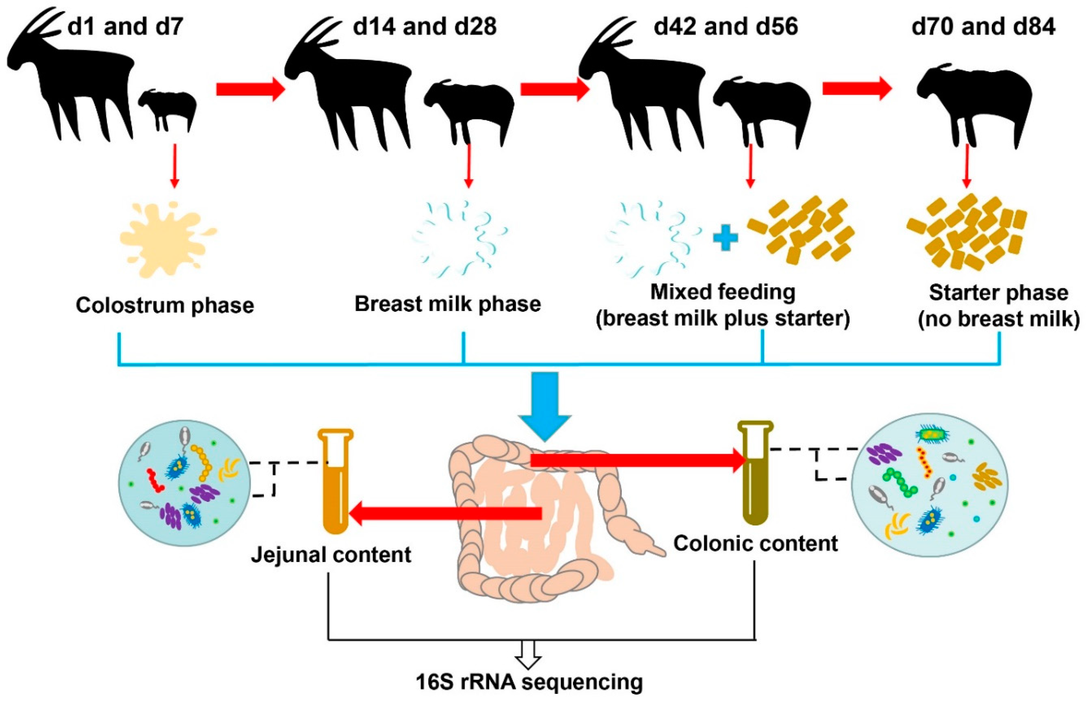 Microorganisms 08 01111 g001