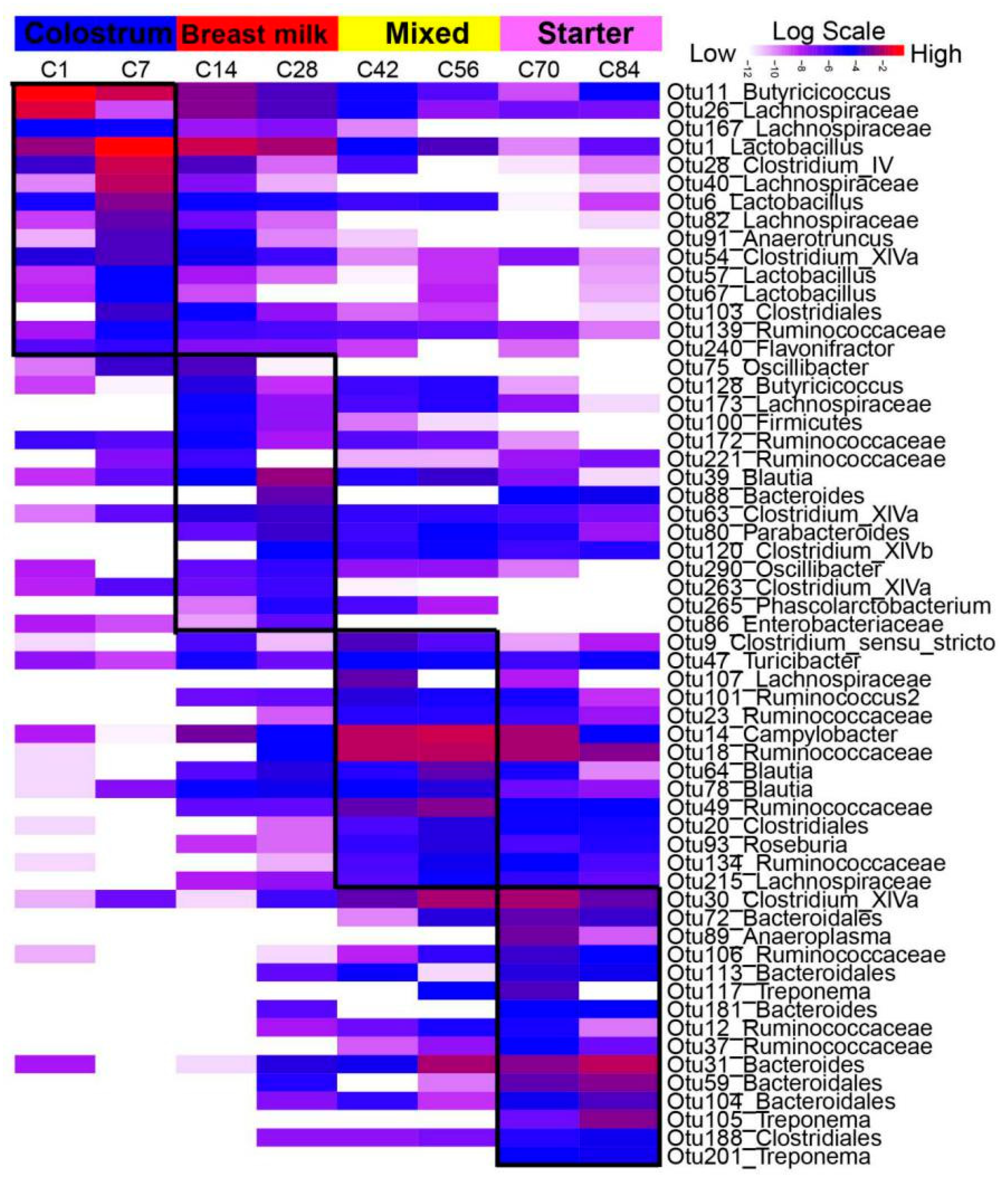 Microorganisms 08 01111 g005