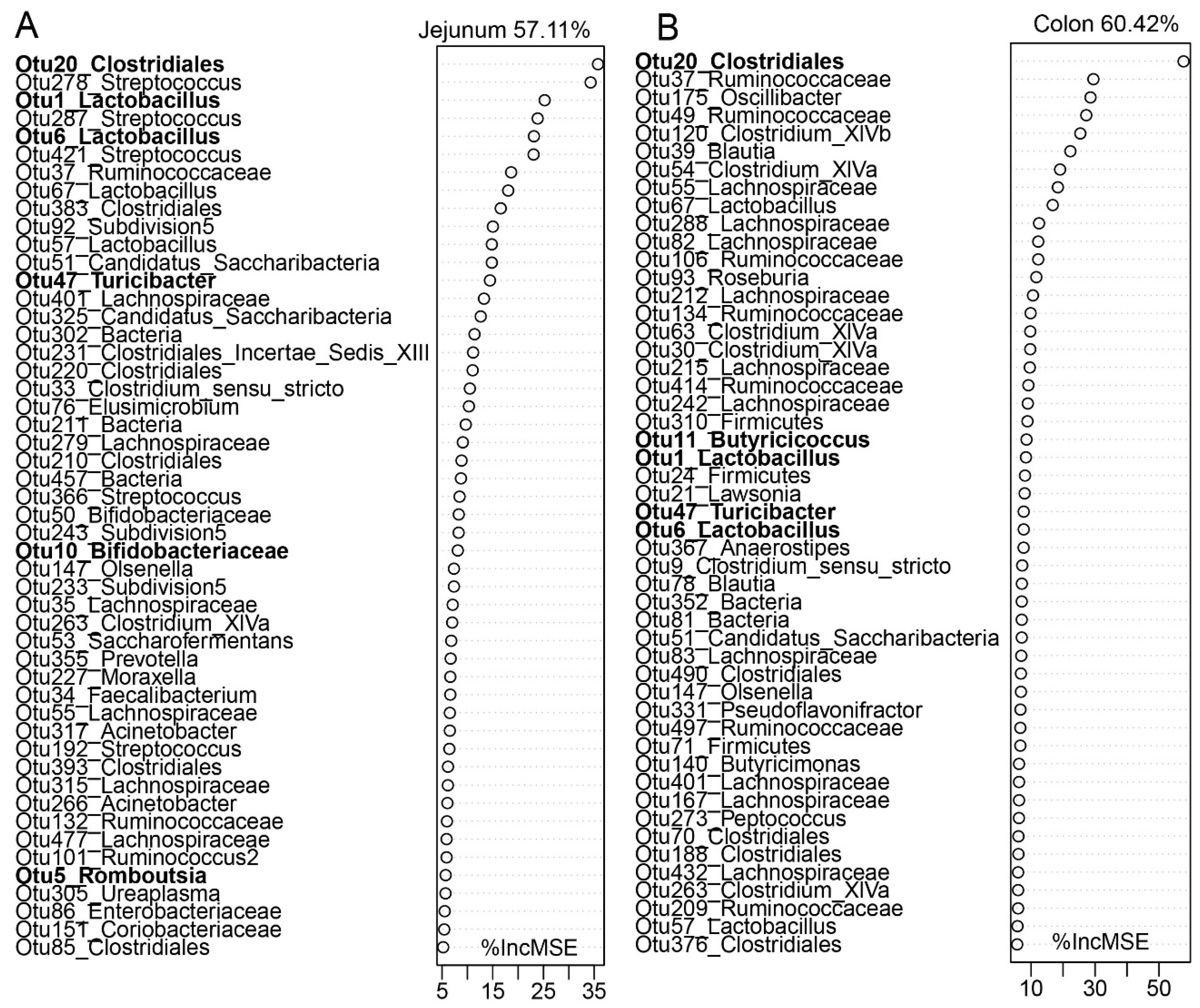 Microorganisms 08 01111 g008