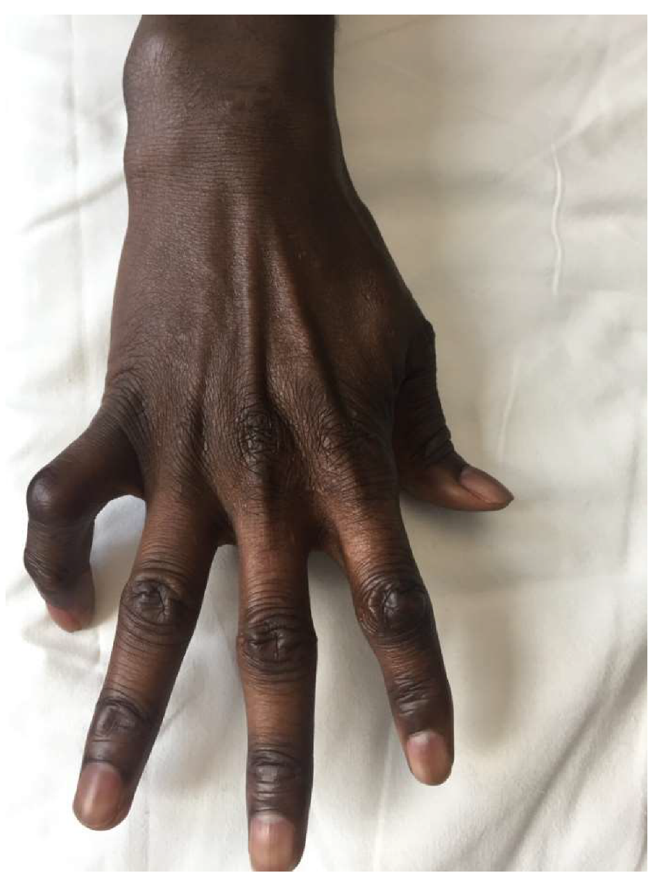 Microorganisms 08 01113 g003