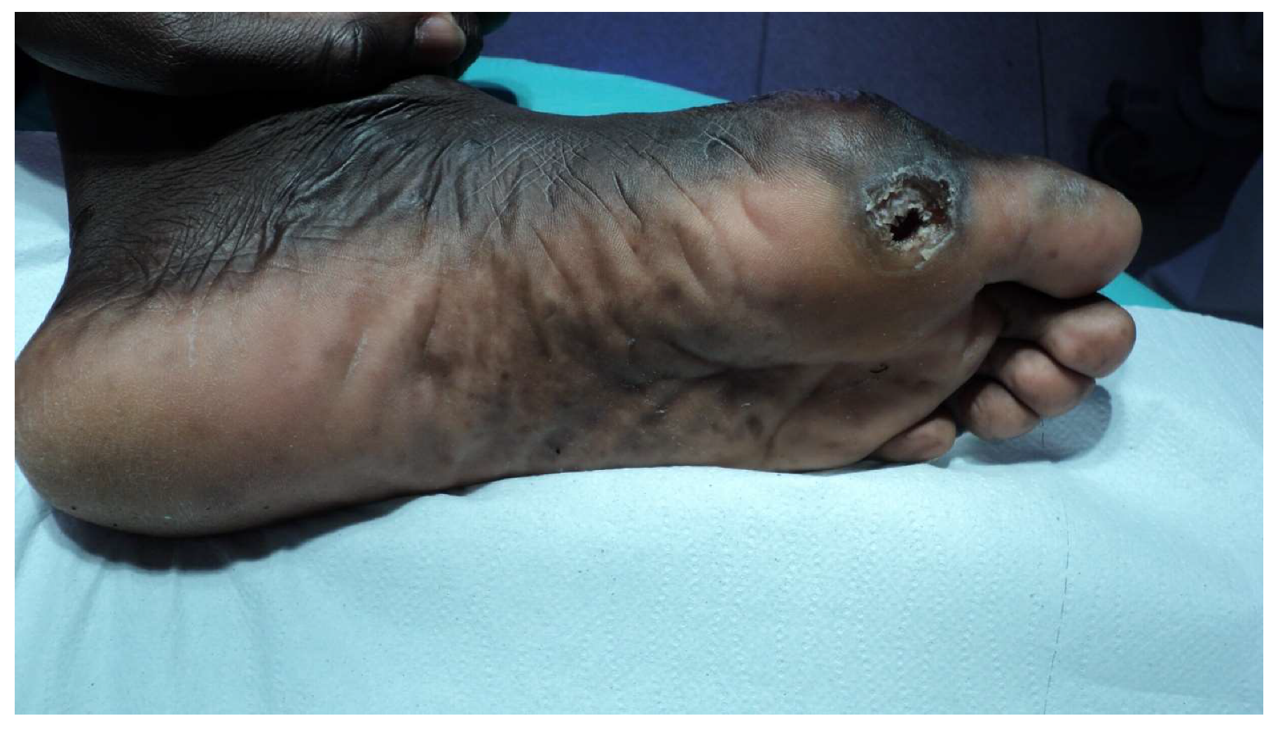 Microorganisms 08 01113 g005