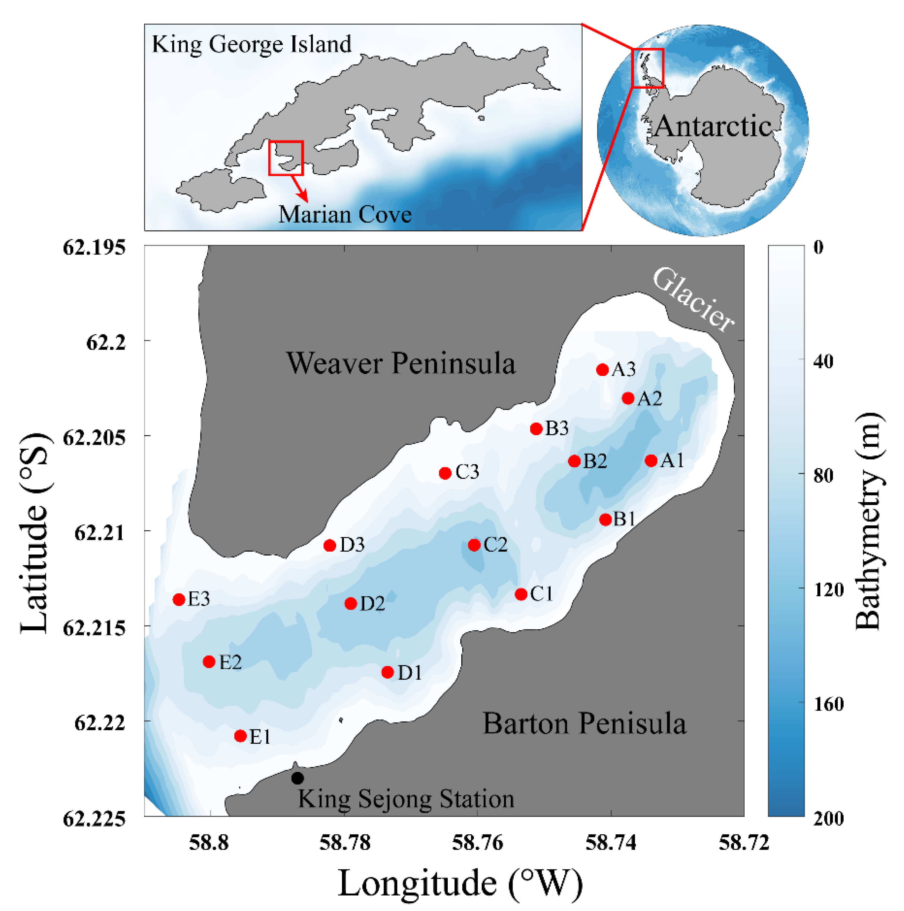 Microorganisms 08 01115 g001