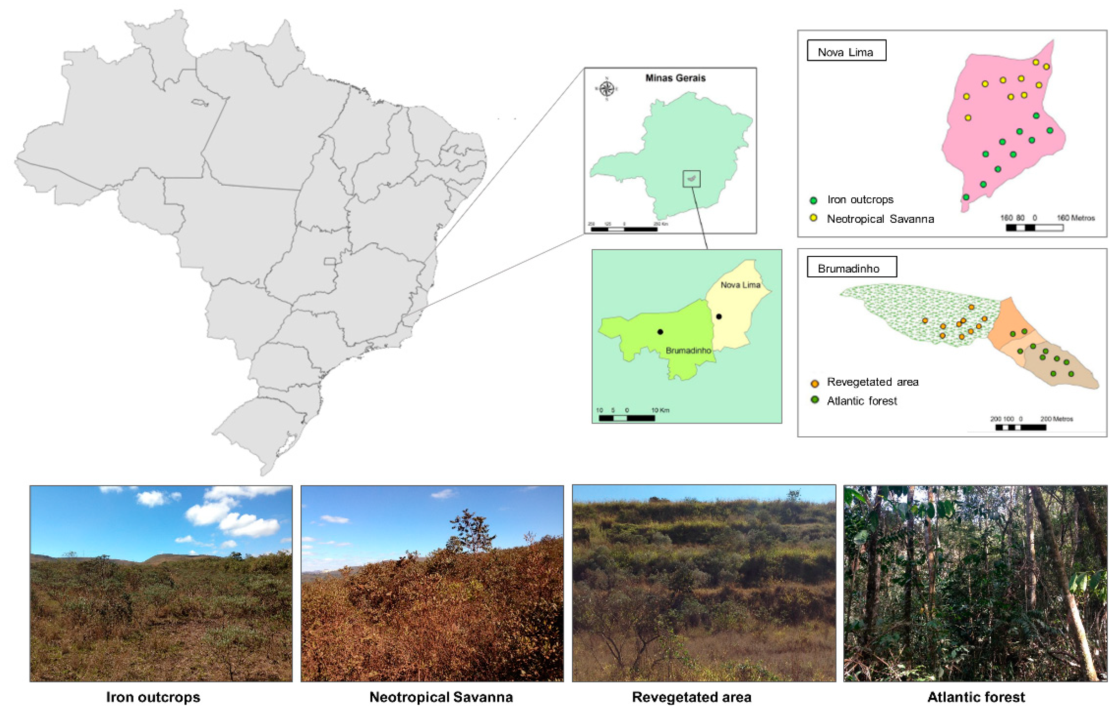 Microorganisms 08 01116 g001 Microorganisms 08 01116 g001