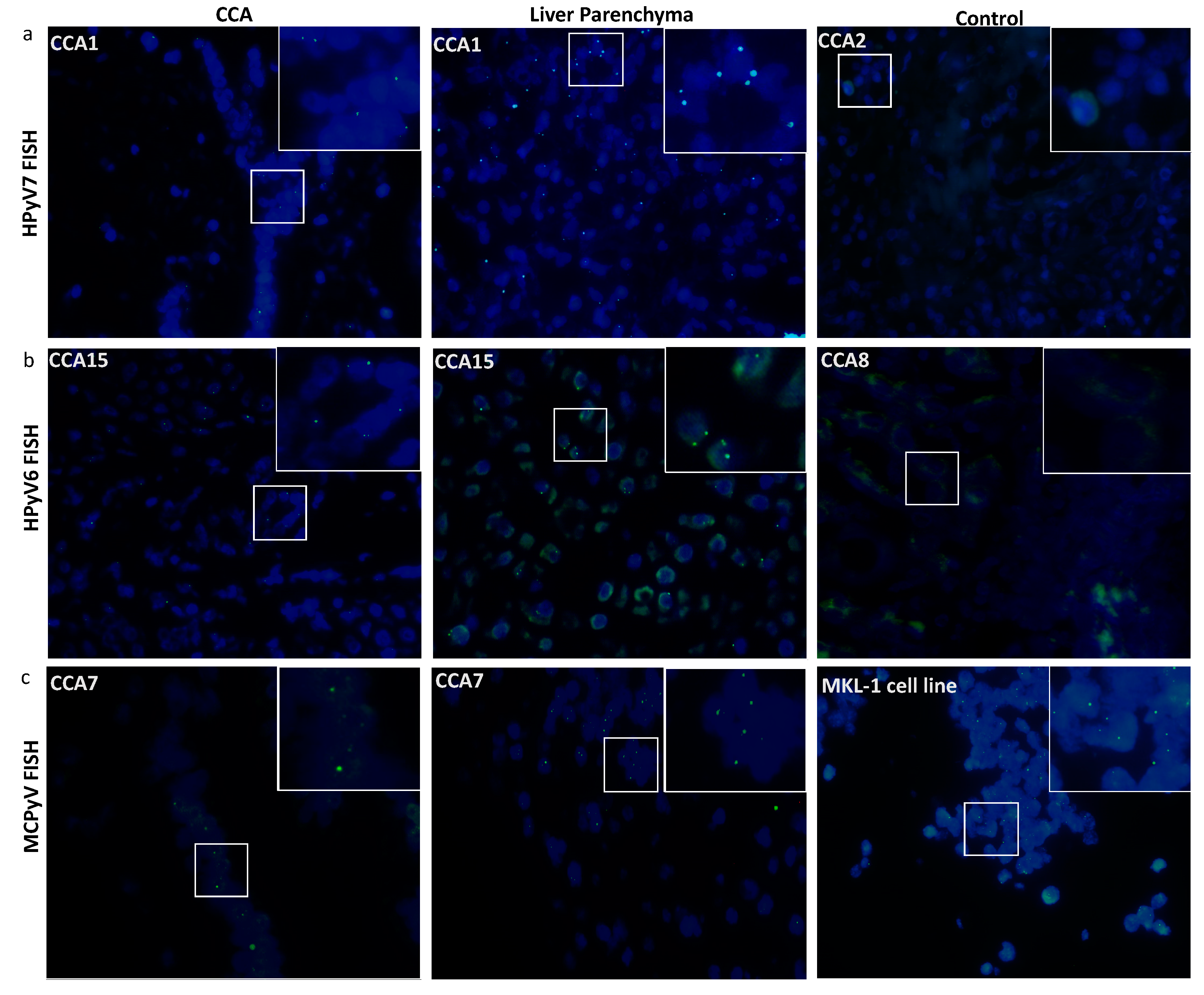 Microorganisms 08 01125 g002 Microorganisms 08 01125 g002