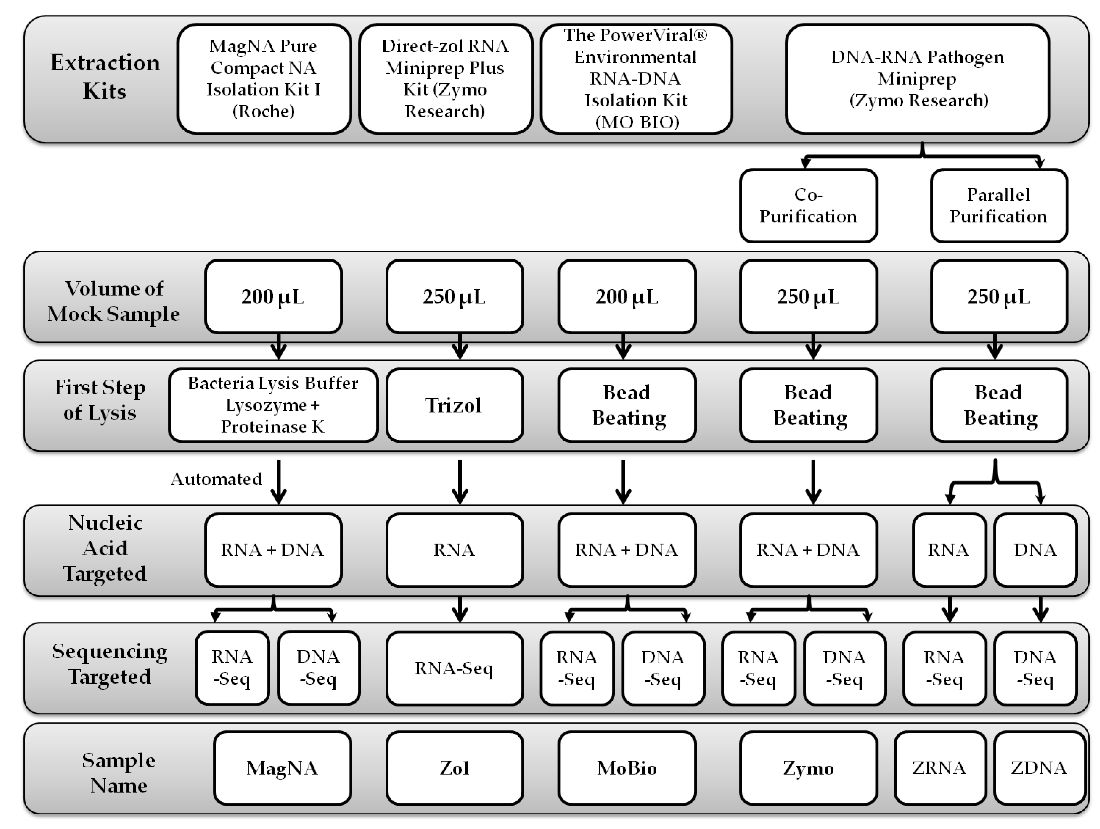 Microorganisms 08 01128 g001