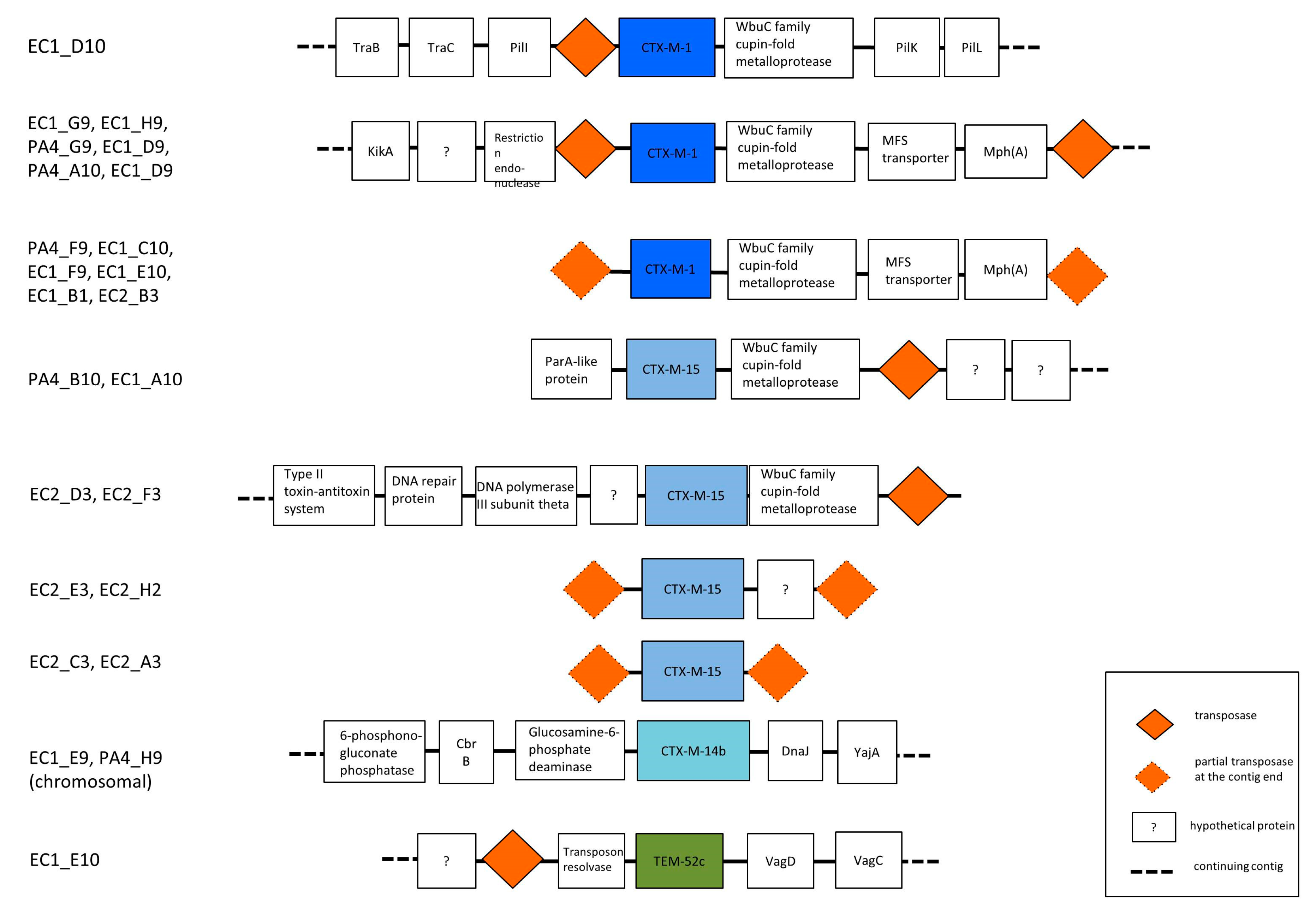 Microorganisms 08 01130 g002