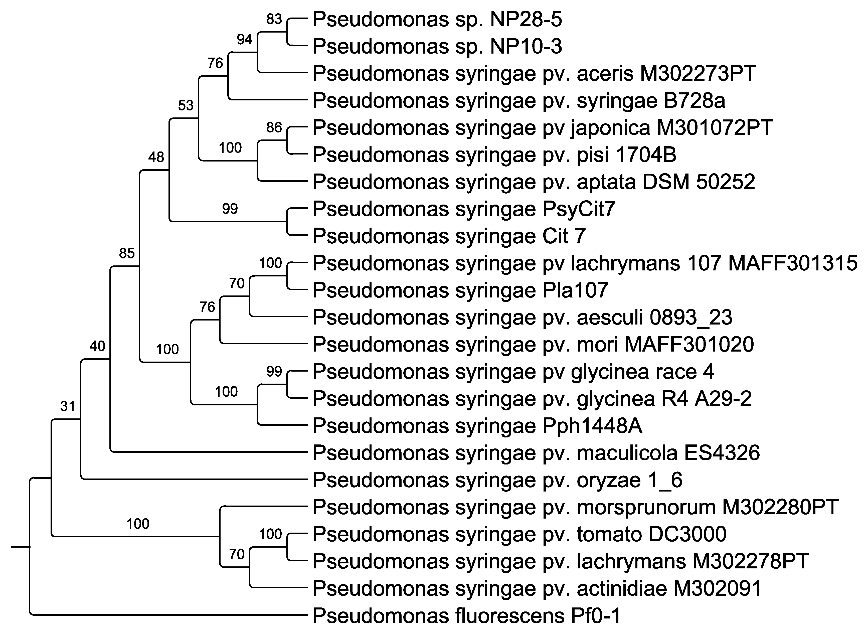 Microorganisms 08 01137 g001 Microorganisms 08 01137 g001