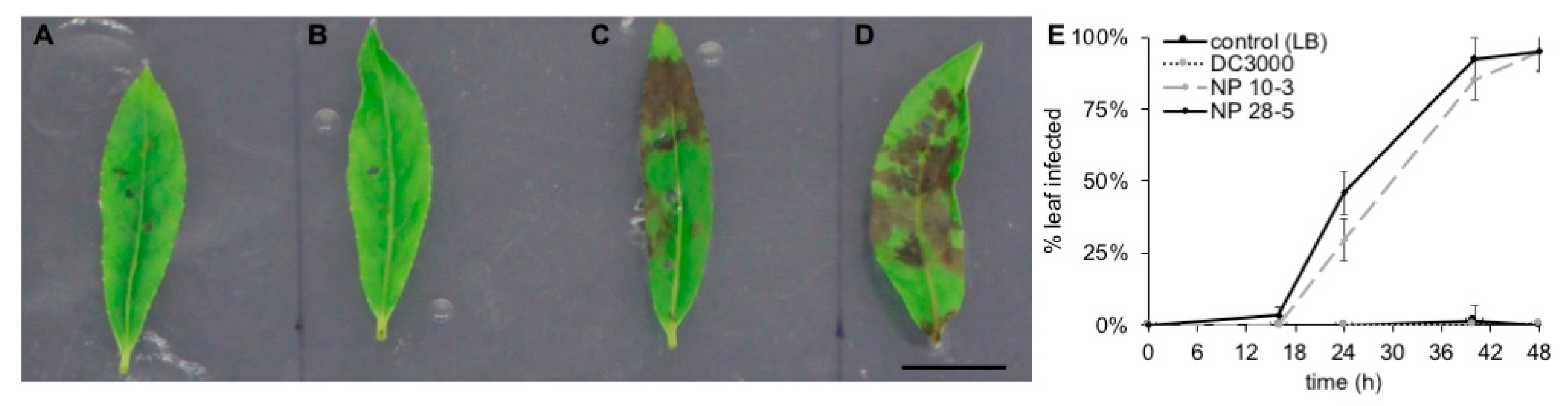 Microorganisms 08 01137 g003 Microorganisms 08 01137 g003