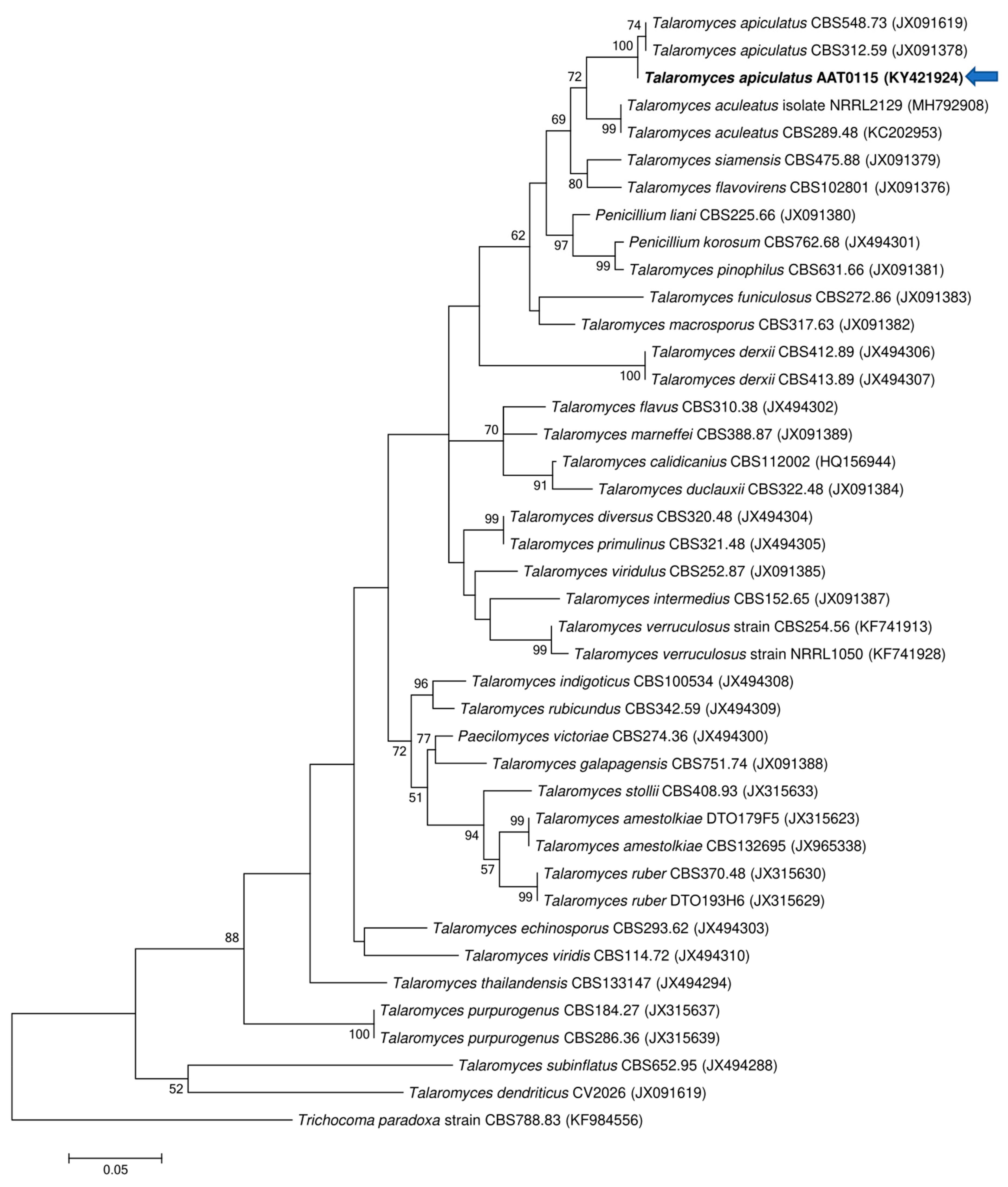 Microorganisms 08 01138 g003 Microorganisms 08 01138 g003