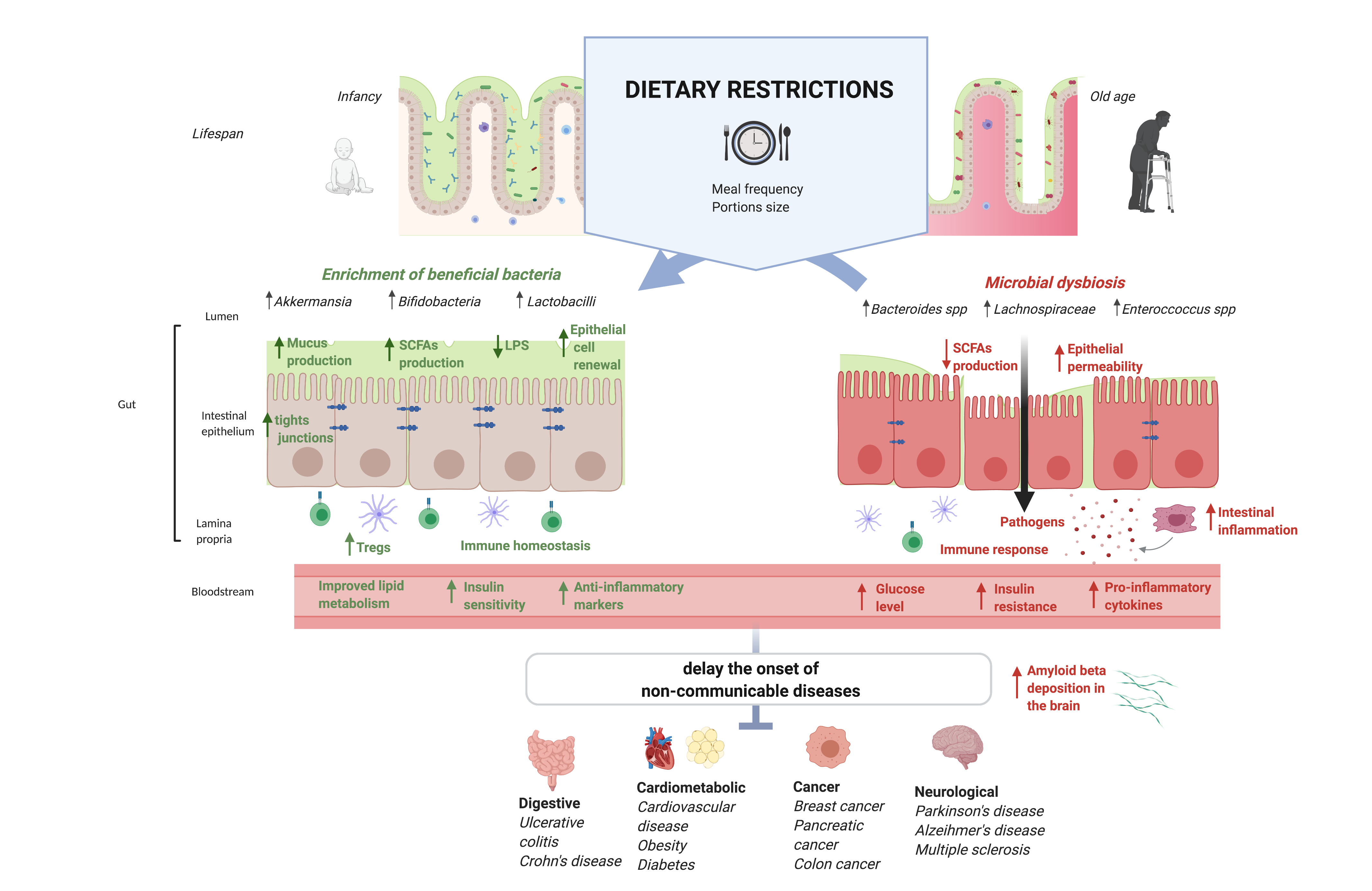 intermittent fasting and diabetes type 2 pubmed