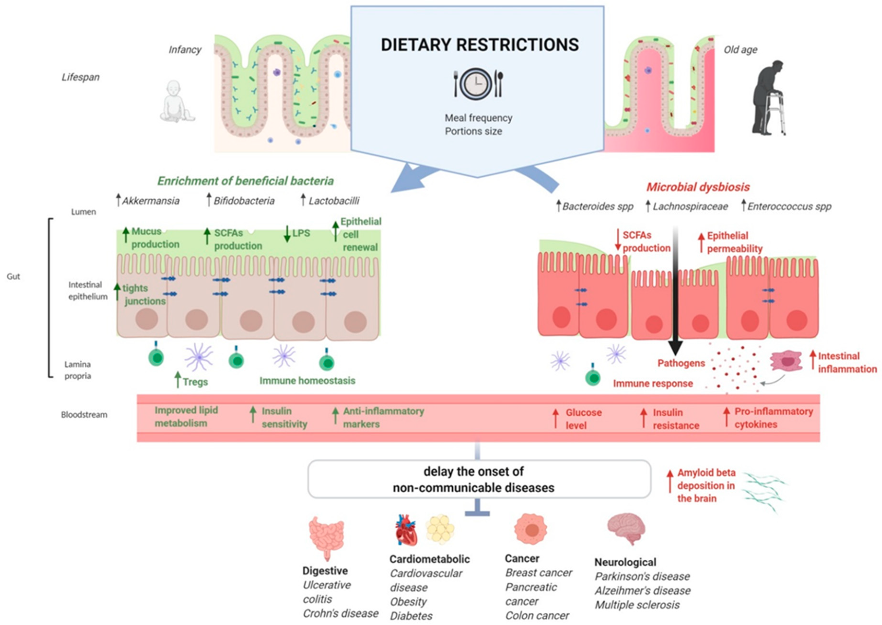 a diabetes mellitus kezelése arany usy