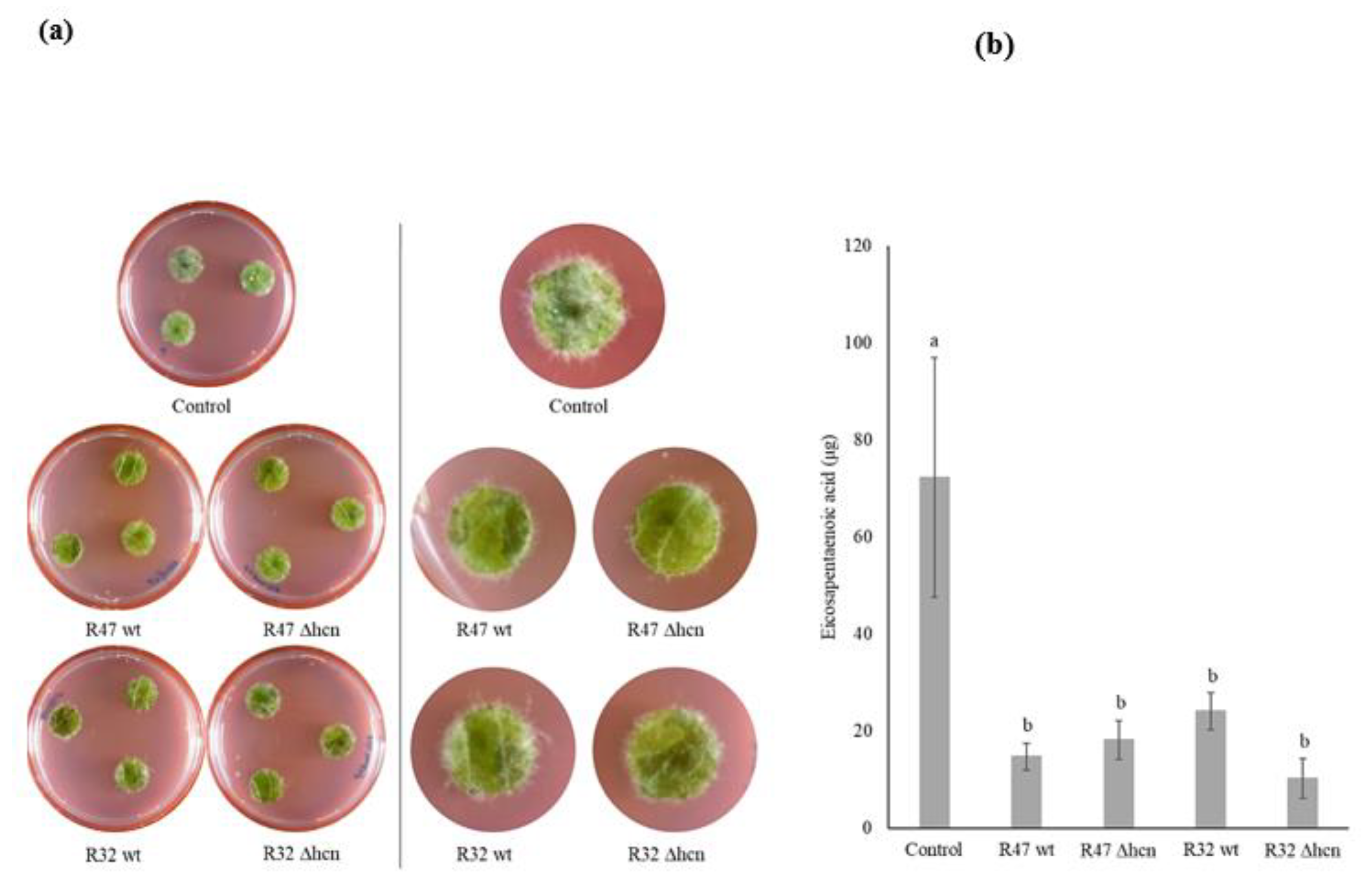 geia helminthosporium solani lapos szemölcsök intim helyen