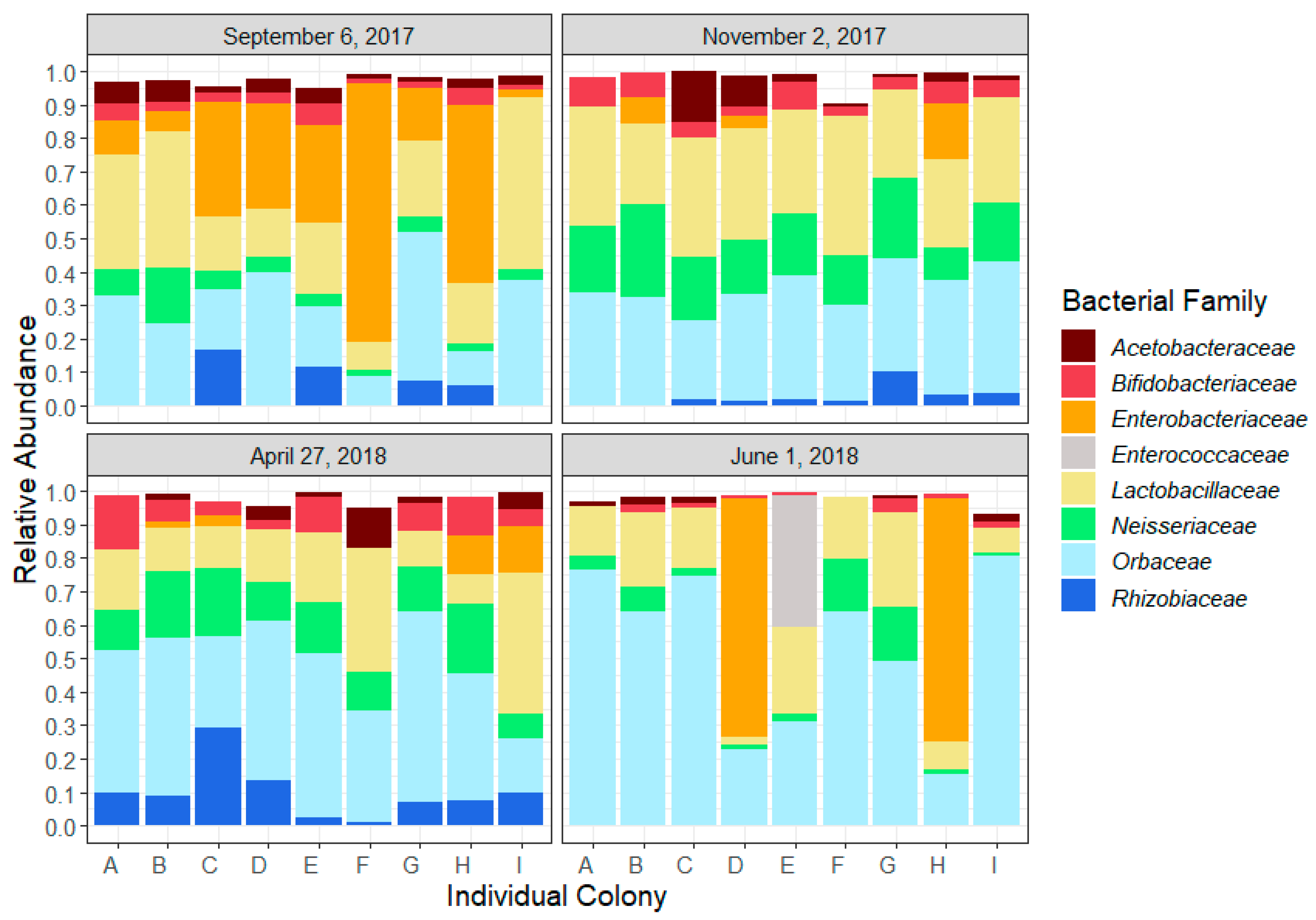 Microorganisms Free Full Text Dynamics Of The Honeybee Apis Mellifera Gut Microbiota Throughout The Overwintering Period In Canada Html