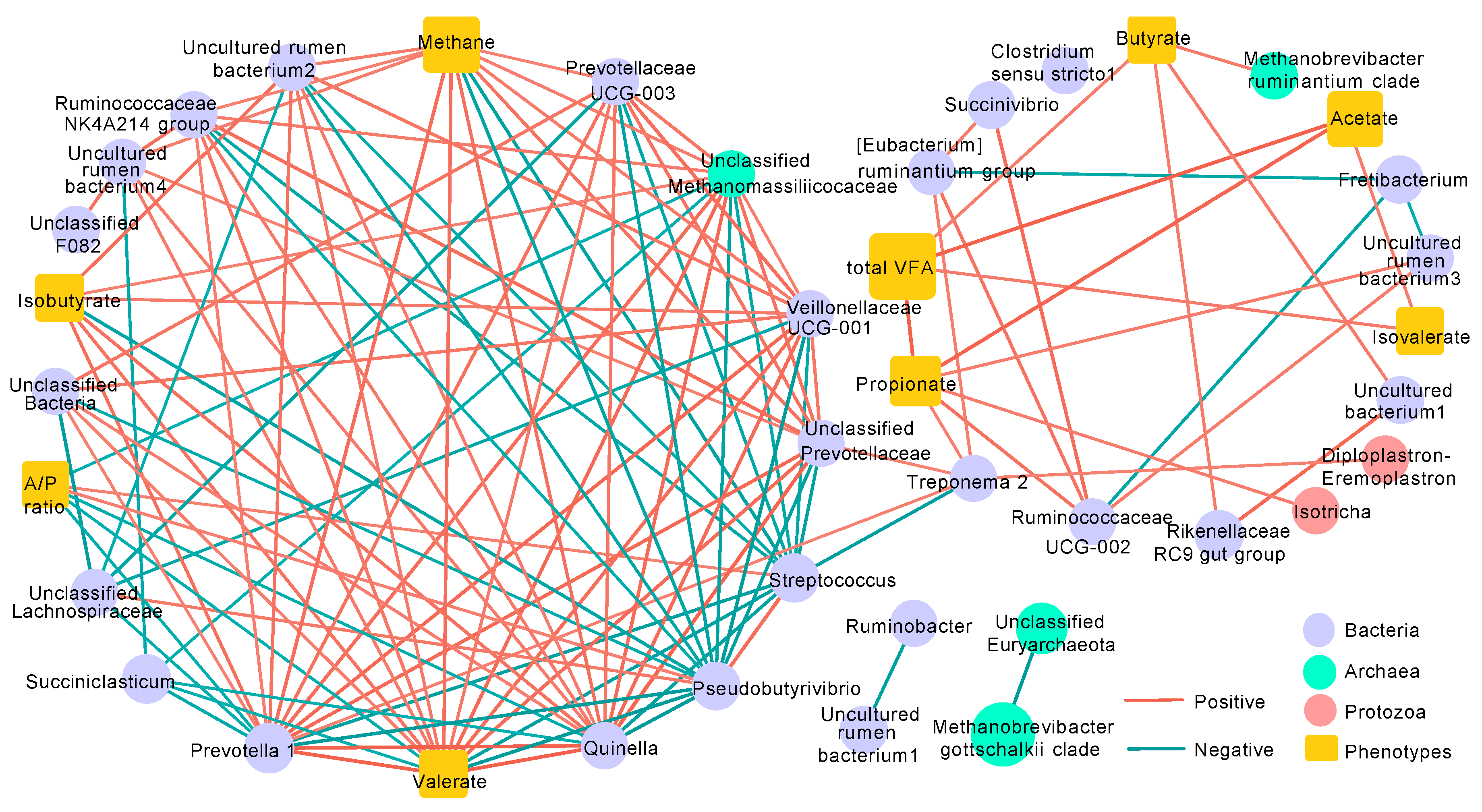 Microorganisms 08 01160 g006