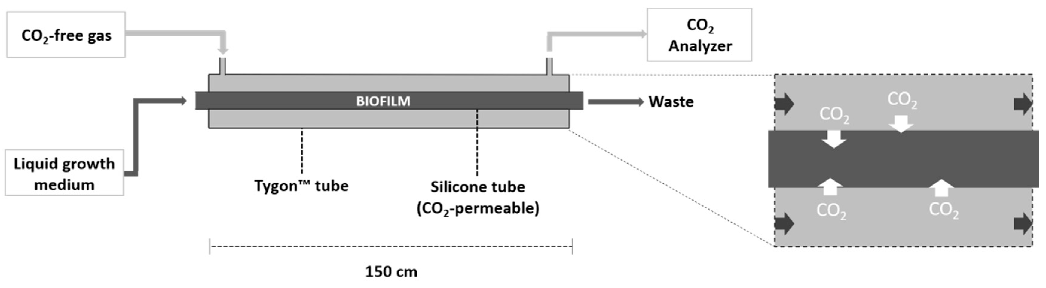 Microorganisms 08 01163 g001 Microorganisms 08 01163 g001