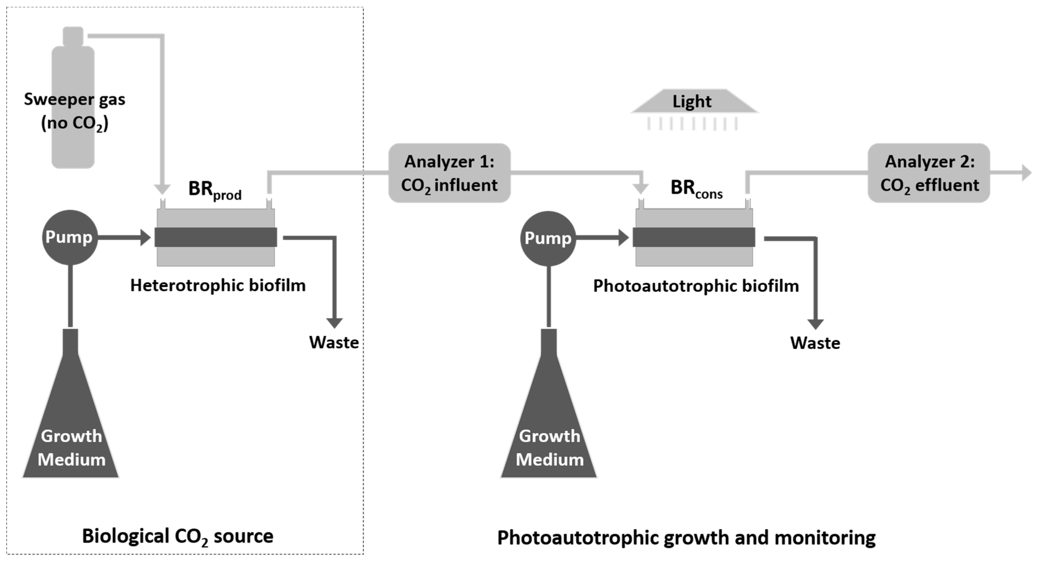 Microorganisms 08 01163 g002 Microorganisms 08 01163 g002
