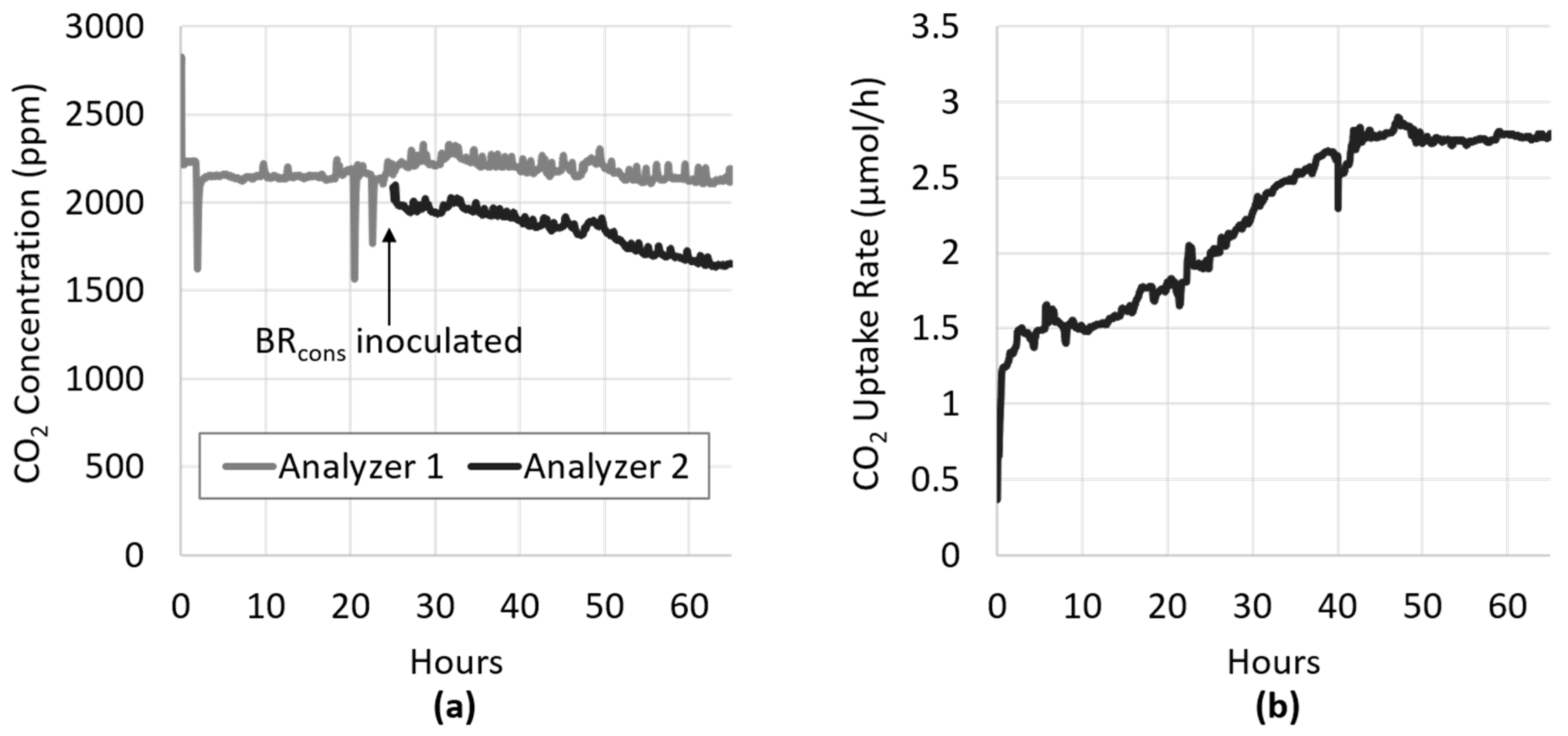 Microorganisms 08 01163 g003 Microorganisms 08 01163 g003