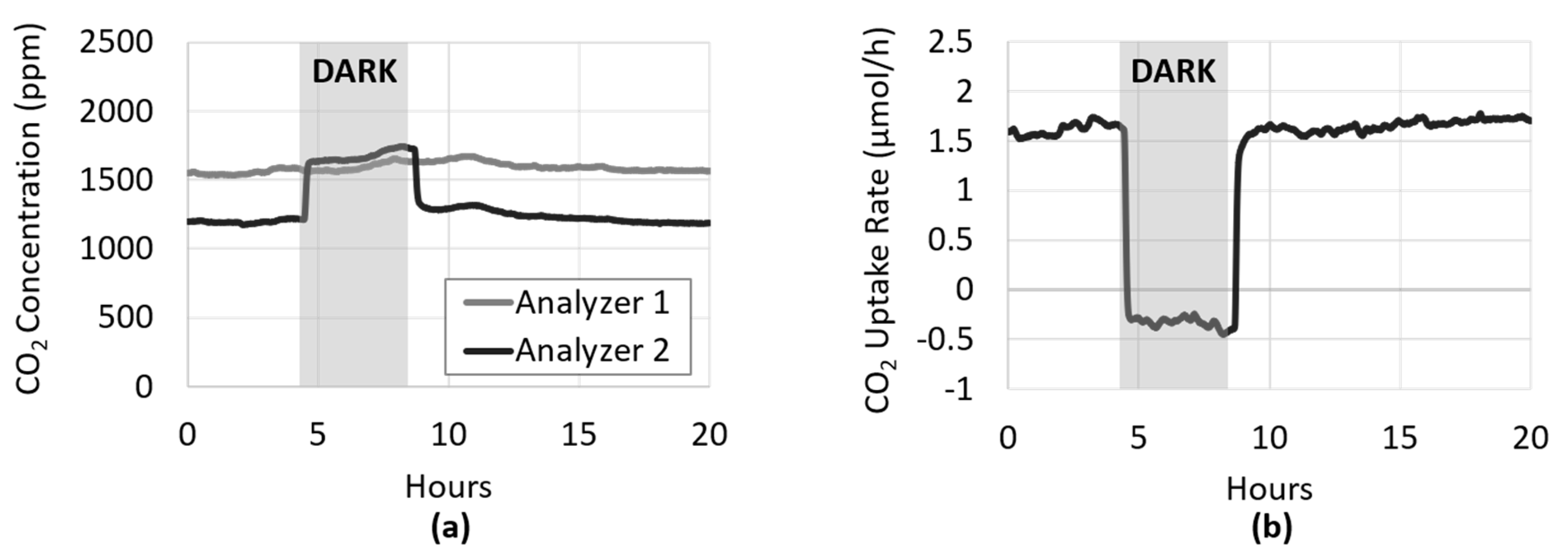 Microorganisms 08 01163 g005 Microorganisms 08 01163 g005