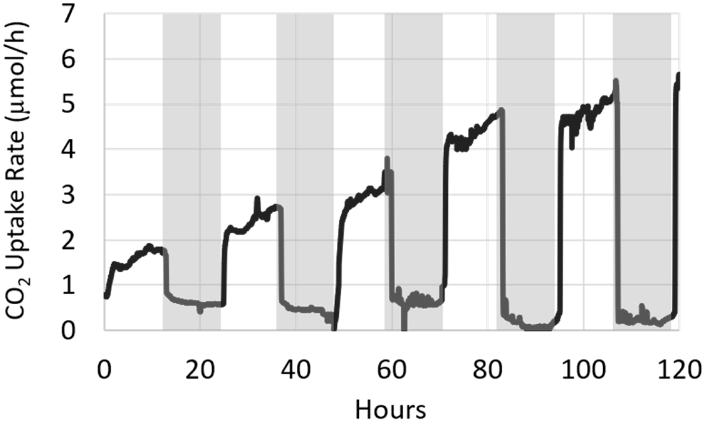 Microorganisms 08 01163 g007 Microorganisms 08 01163 g007