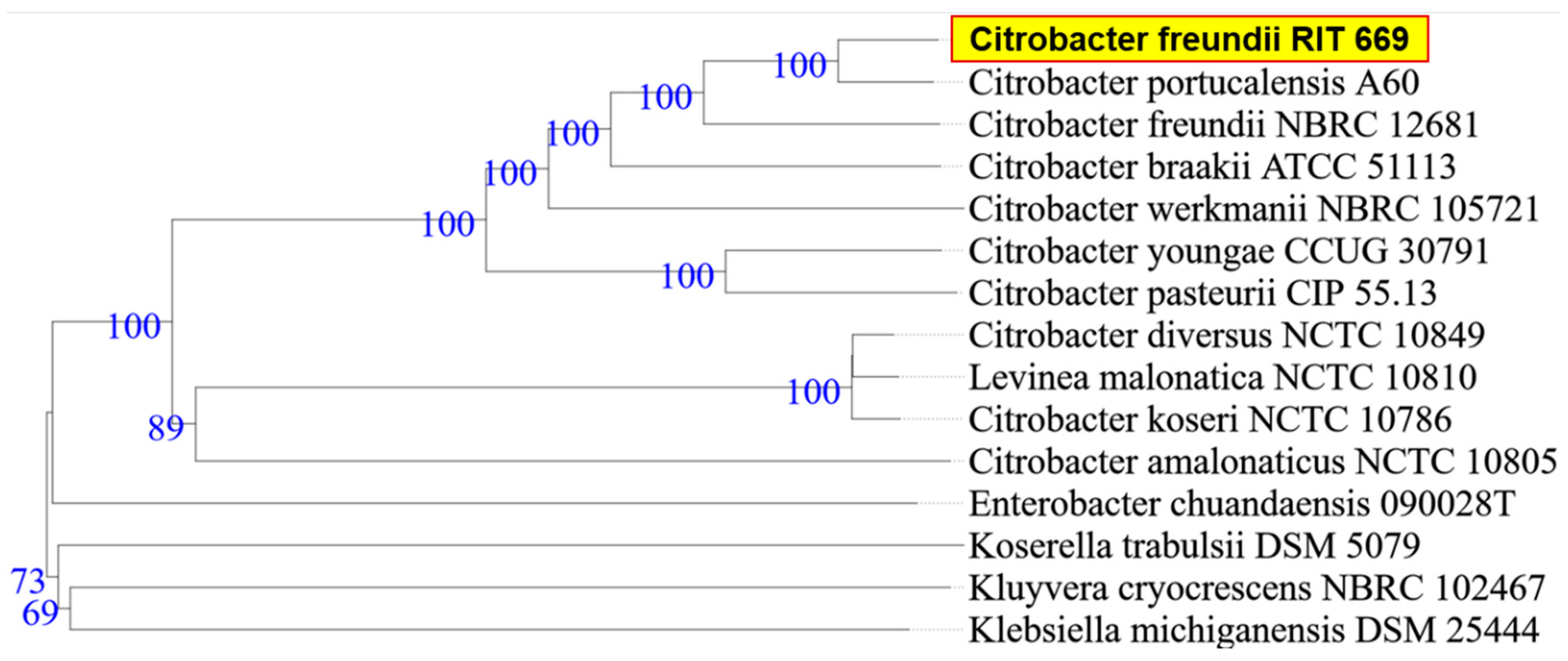 Microorganisms 08 01172 g002