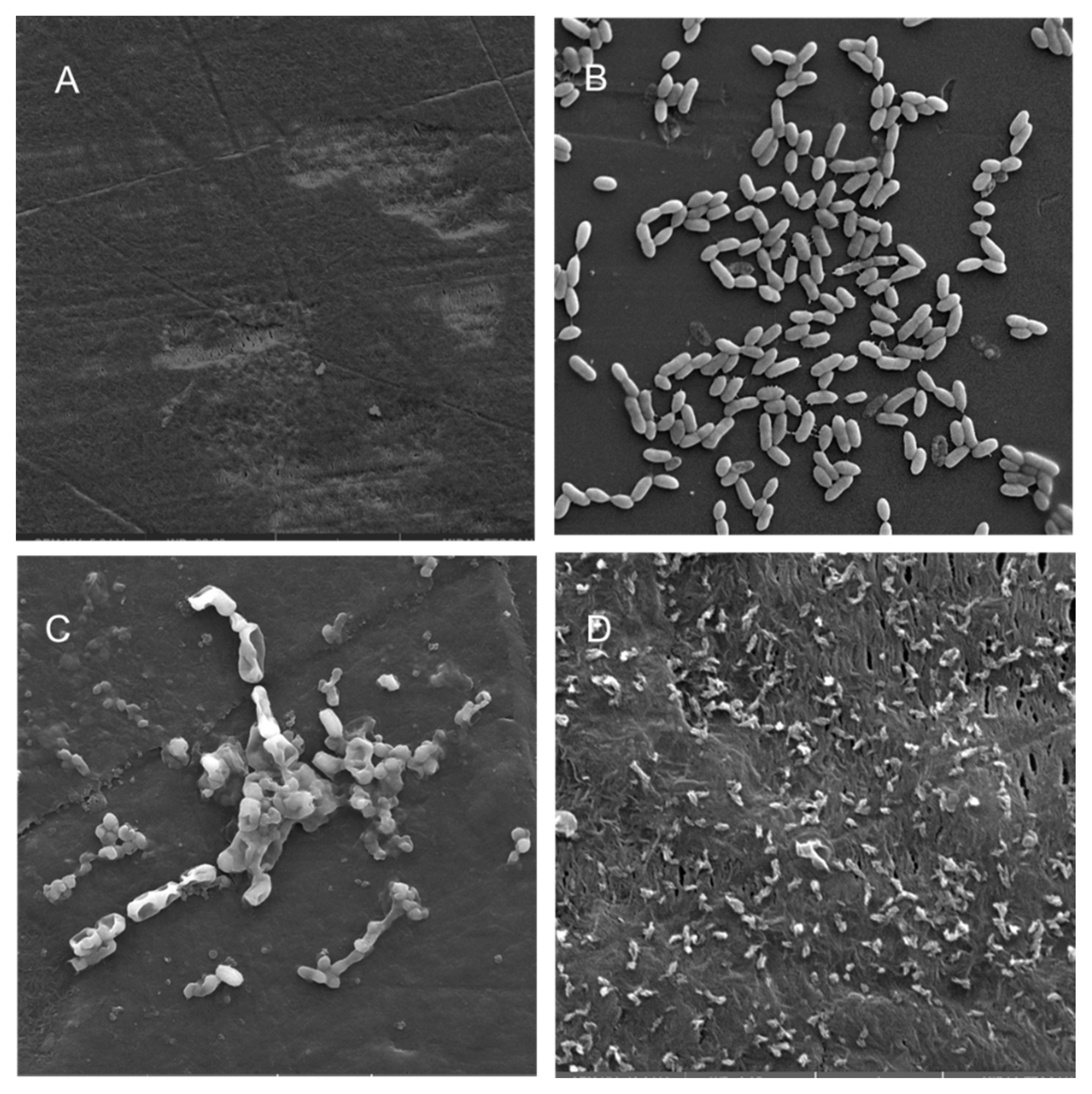 Microorganisms 08 01172 g005