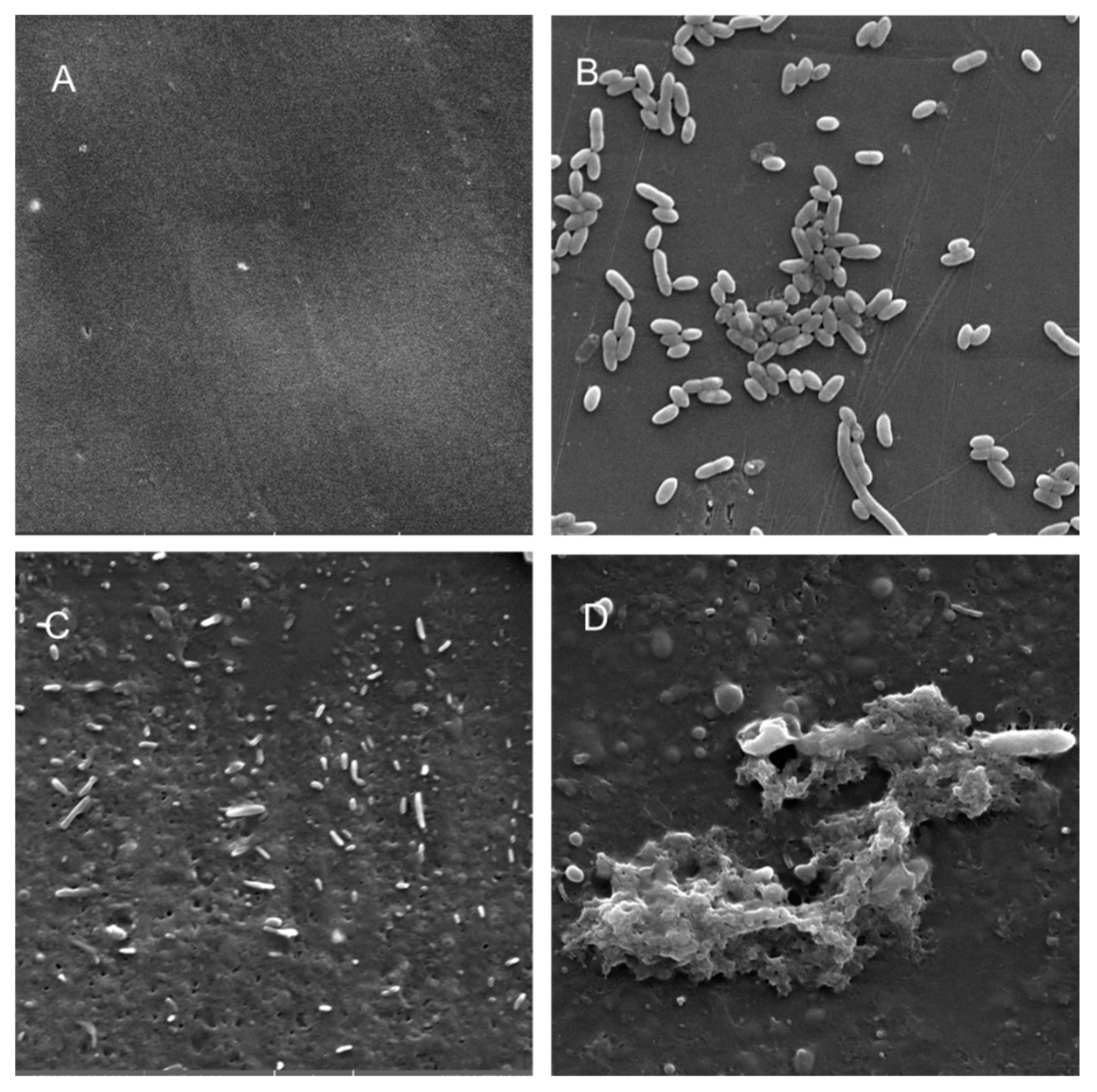 Microorganisms 08 01172 g006