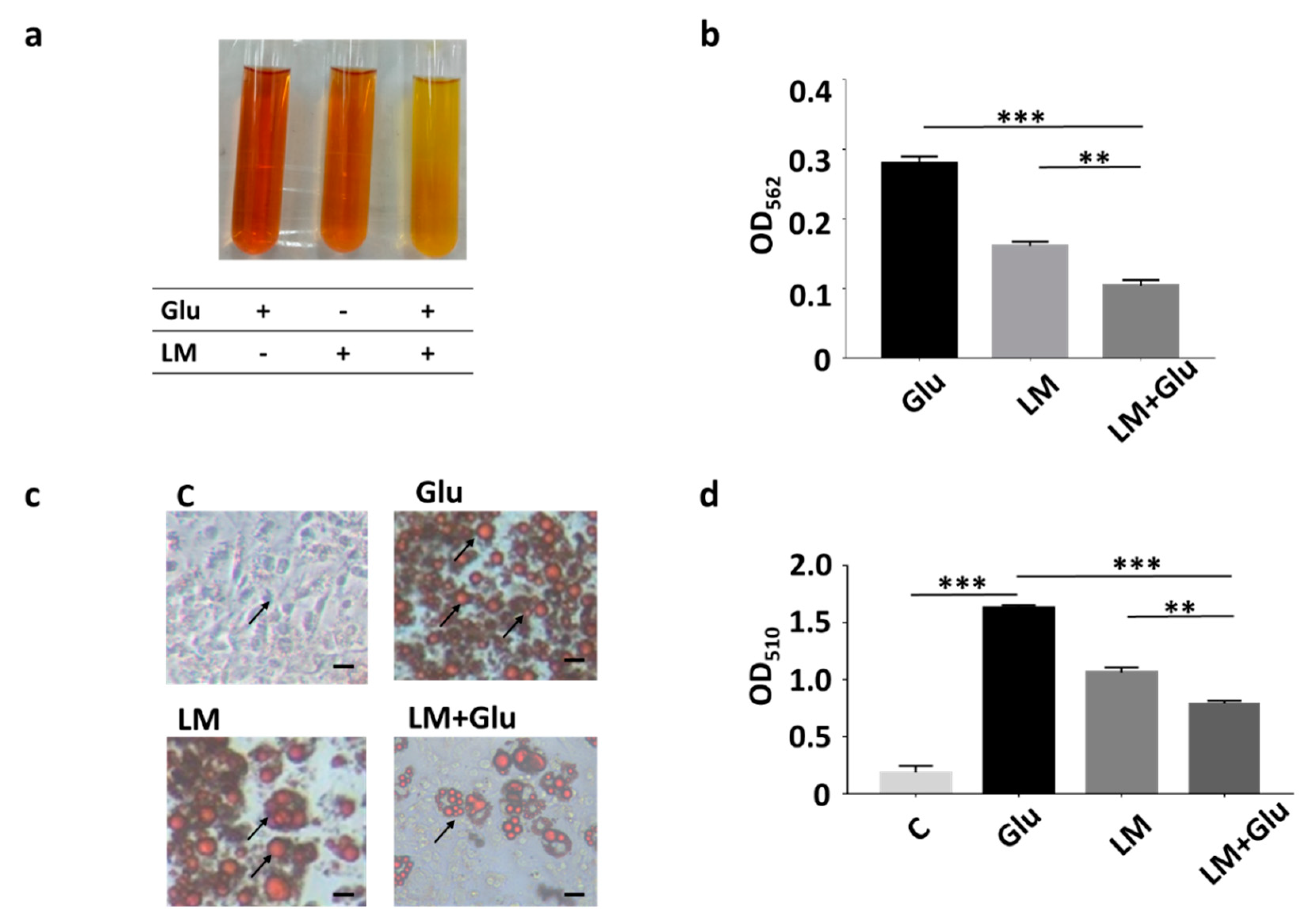 Microorganisms 08 01180 g001 Microorganisms 08 01180 g001
