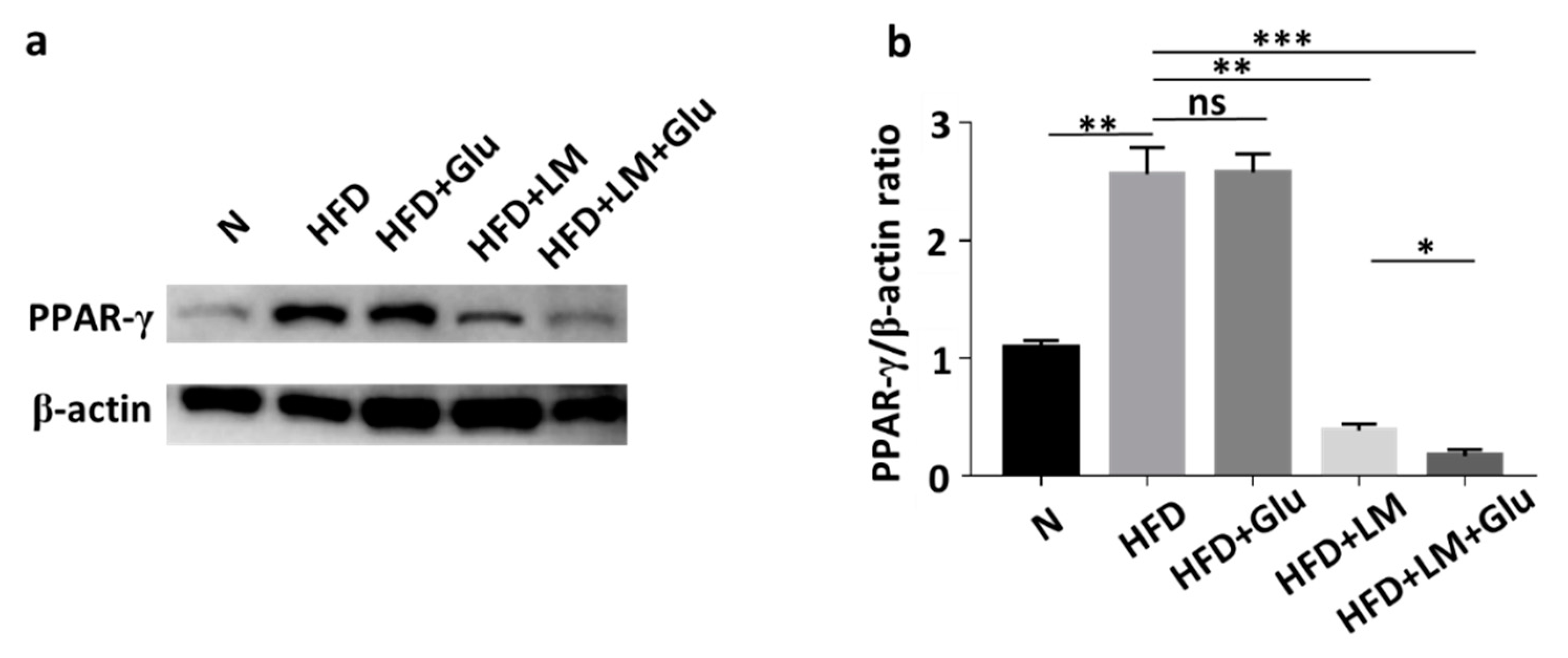 Microorganisms 08 01180 g003 Microorganisms 08 01180 g003