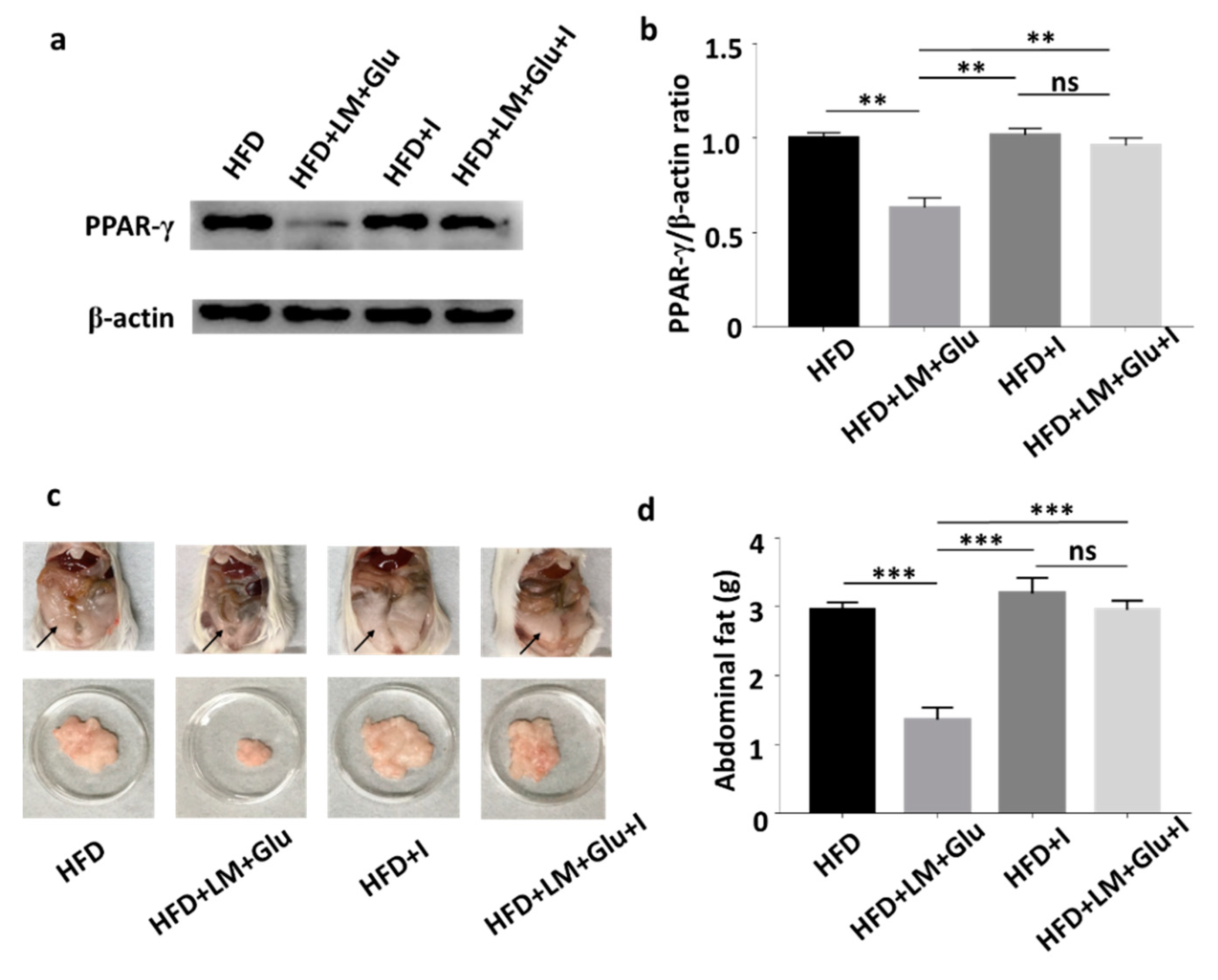 Microorganisms 08 01180 g004 Microorganisms 08 01180 g004