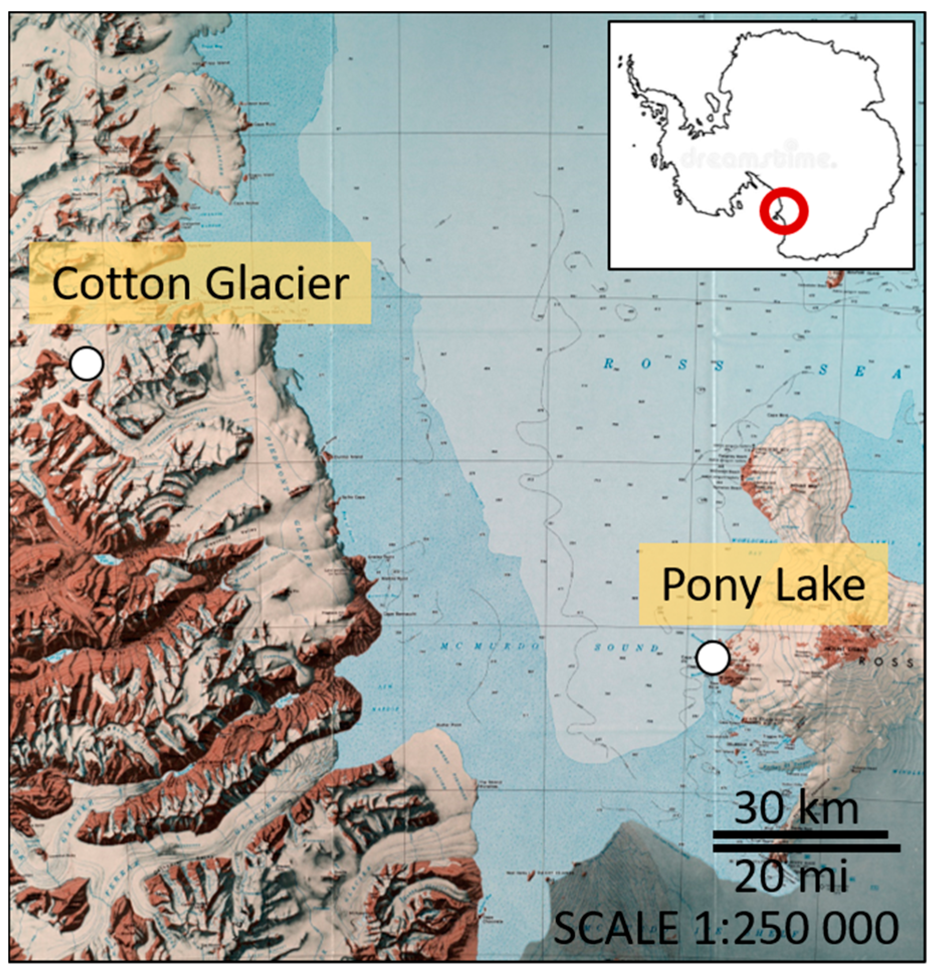 Microorganisms 08 01183 g001 Microorganisms 08 01183 g001