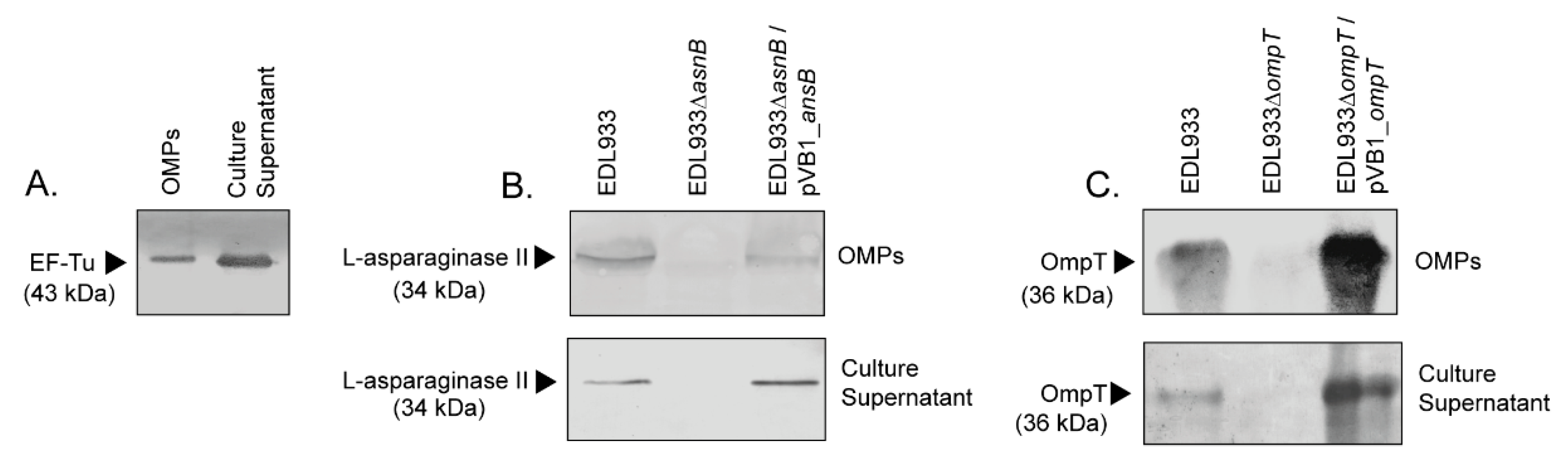 Microorganisms 08 01184 g001 Microorganisms 08 01184 g001