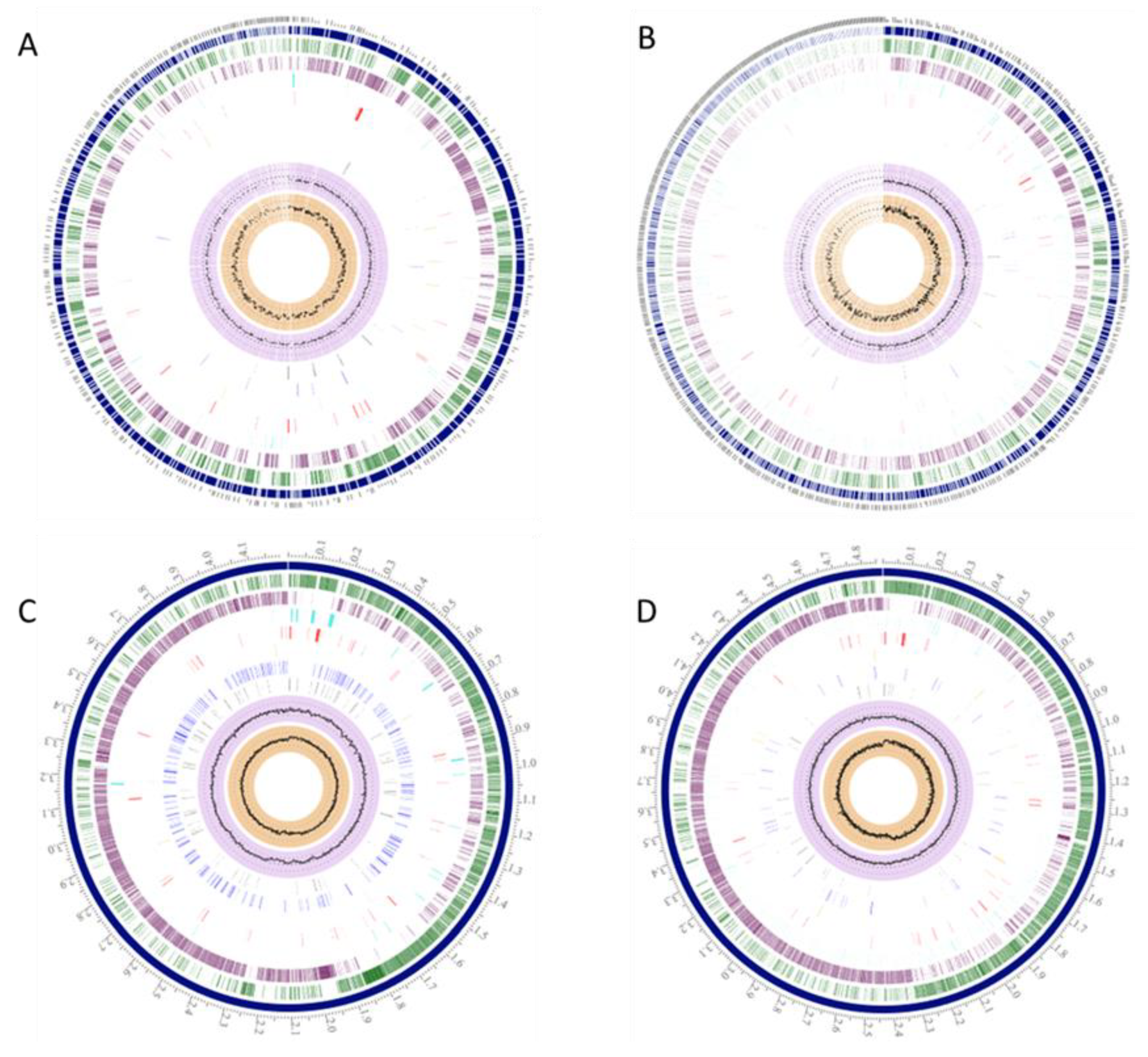 Microorganisms 08 01185 g001