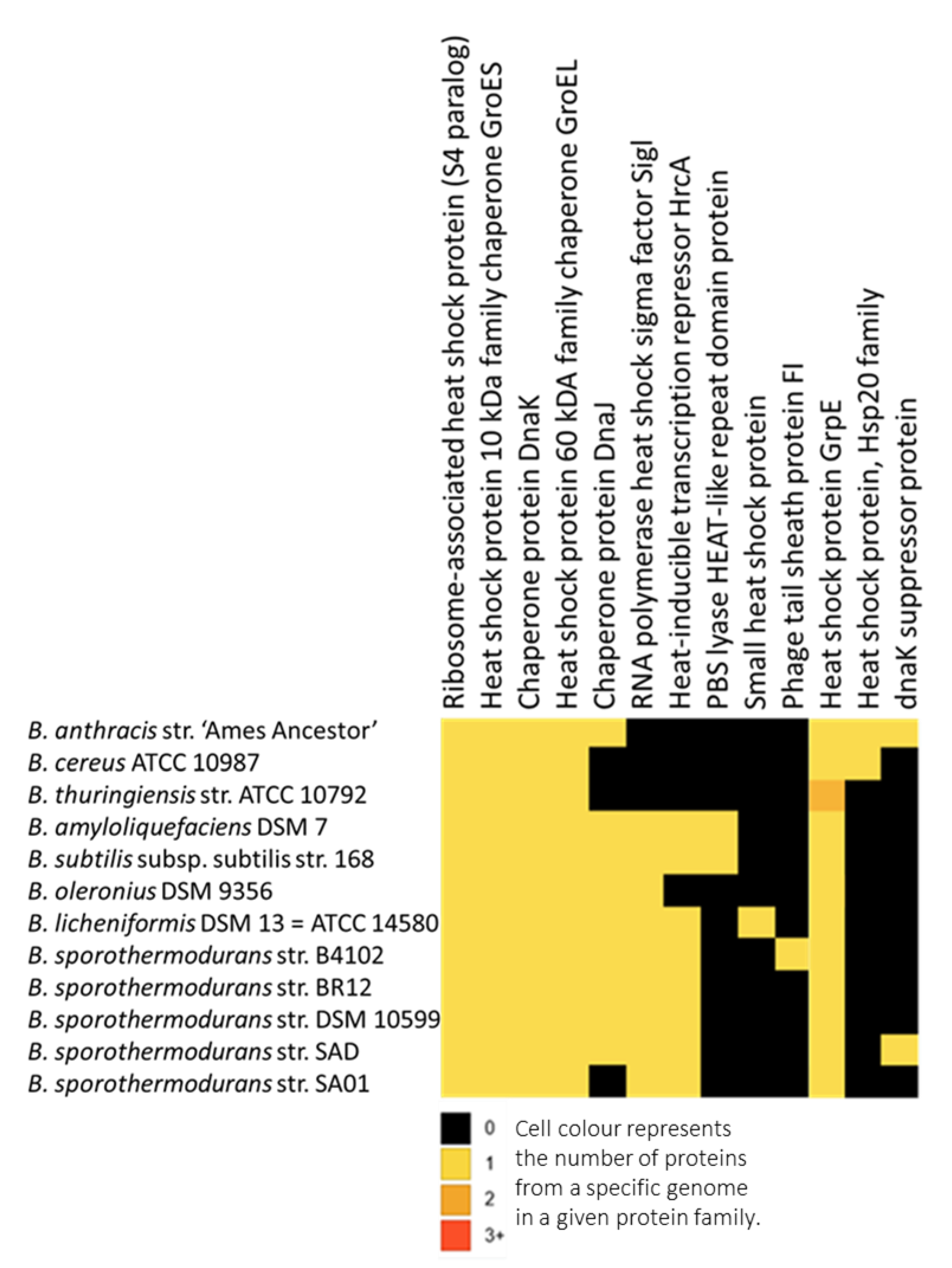 Microorganisms 08 01185 g004