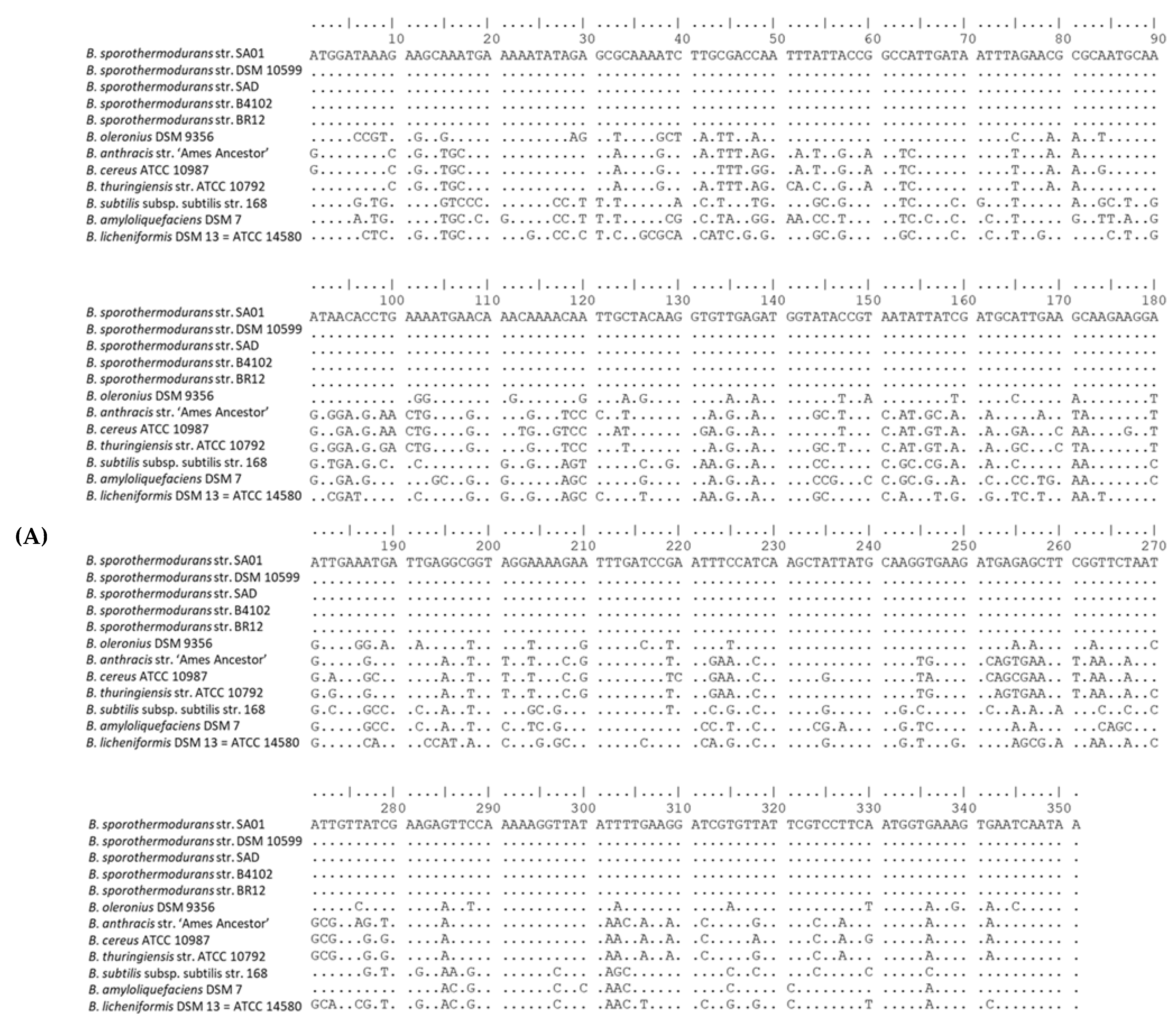 Microorganisms 08 01185 g006a