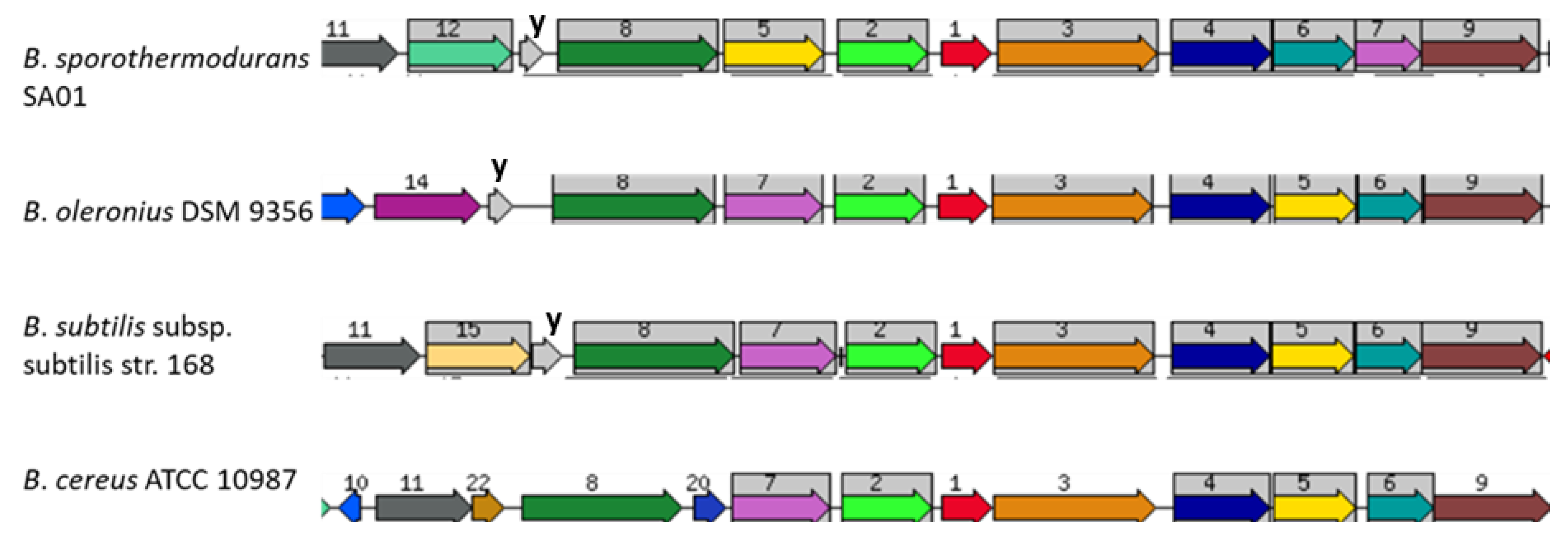 Microorganisms 08 01185 g007