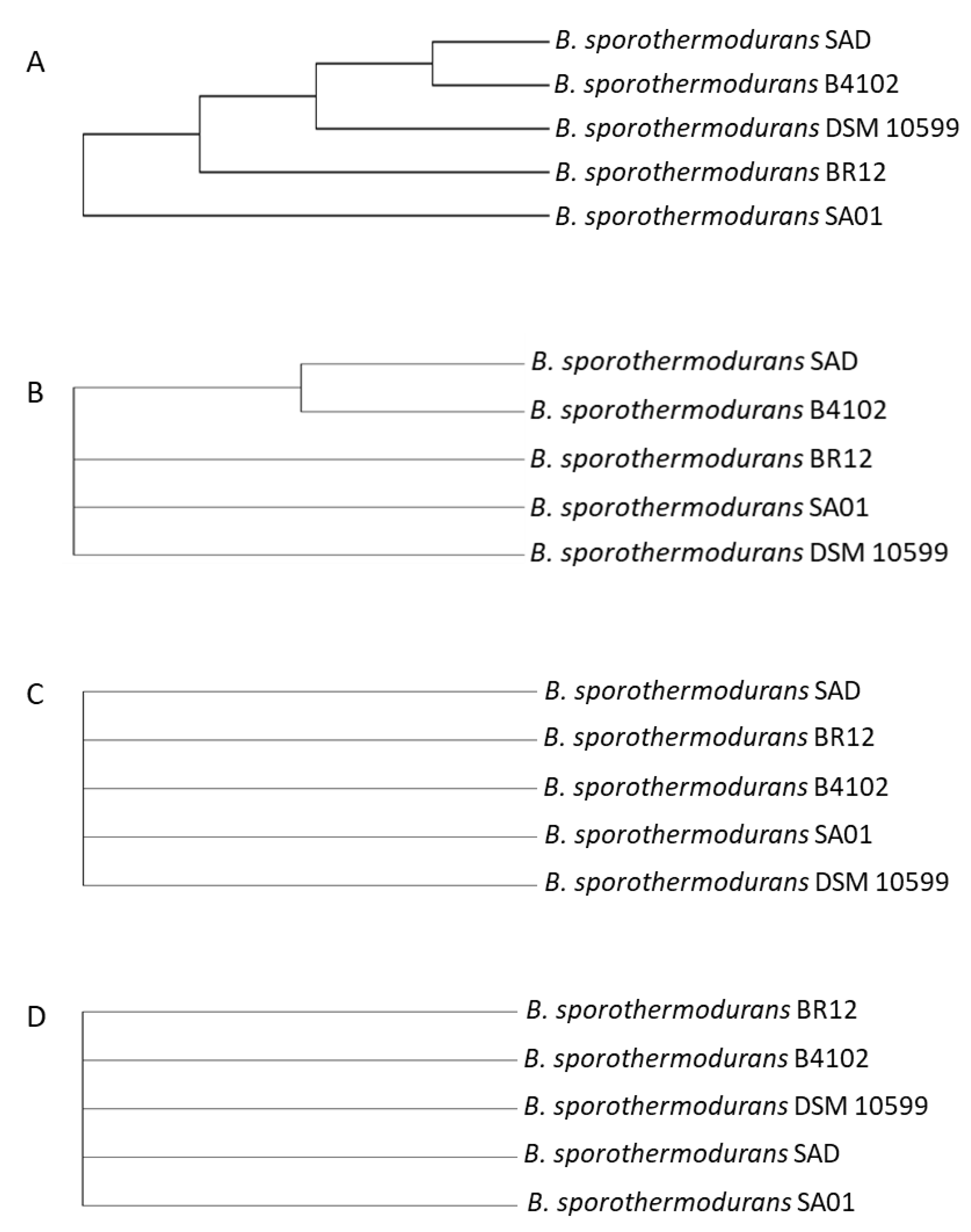 Microorganisms 08 01185 g008