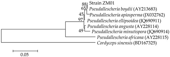 Microorganisms 08 01190 g001 550