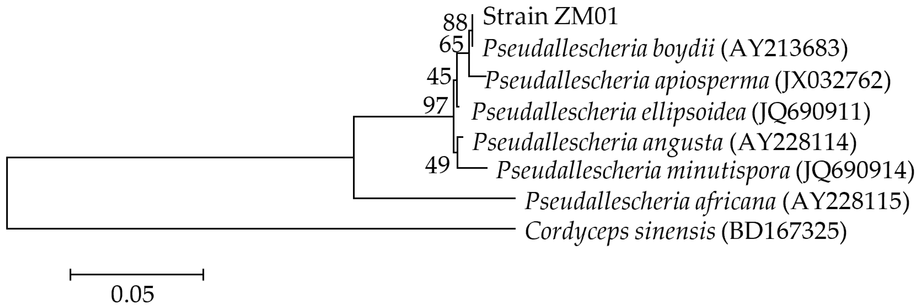Microorganisms 08 01190 g001 Microorganisms 08 01190 g001
