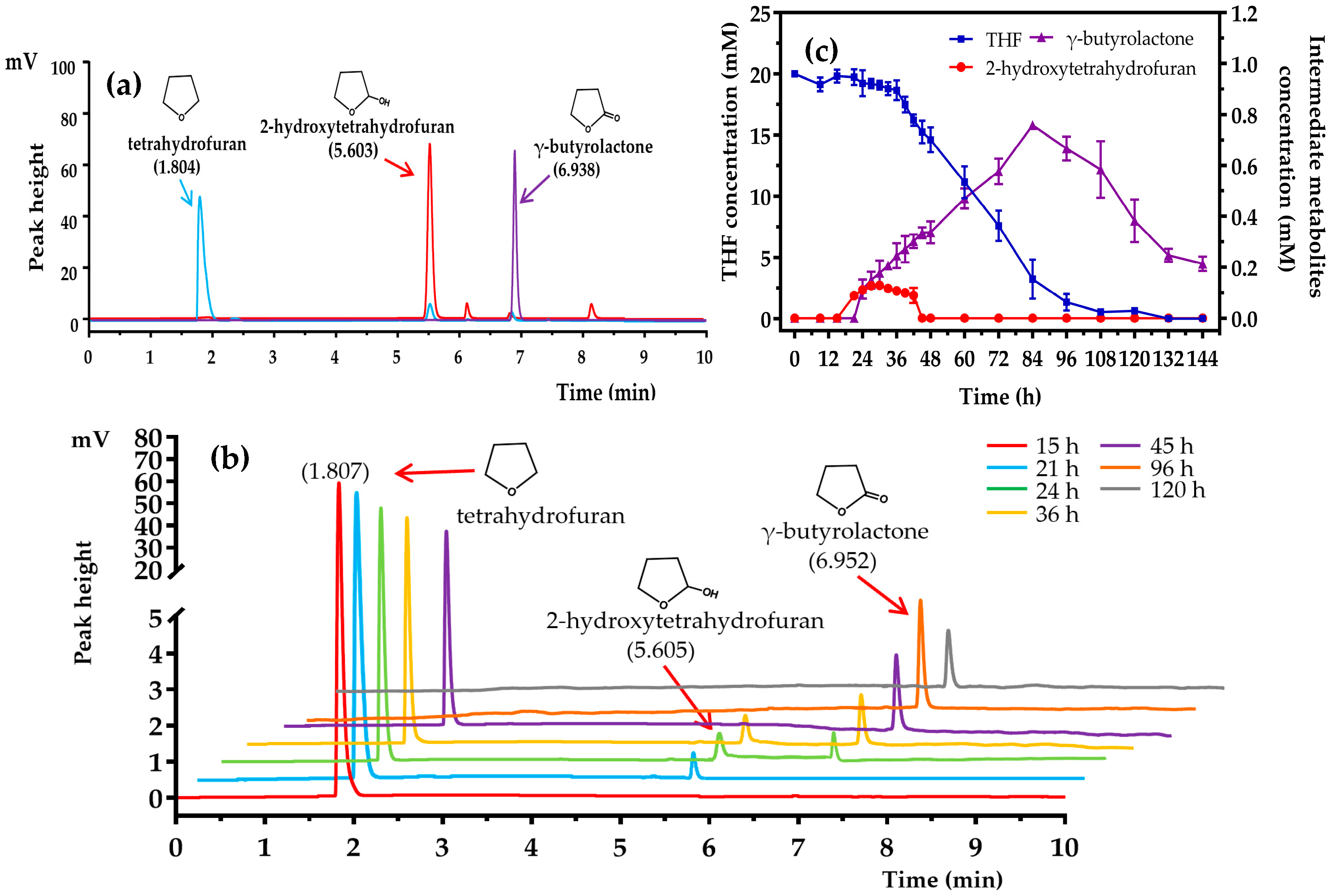 Microorganisms 08 01190 g005 Microorganisms 08 01190 g005