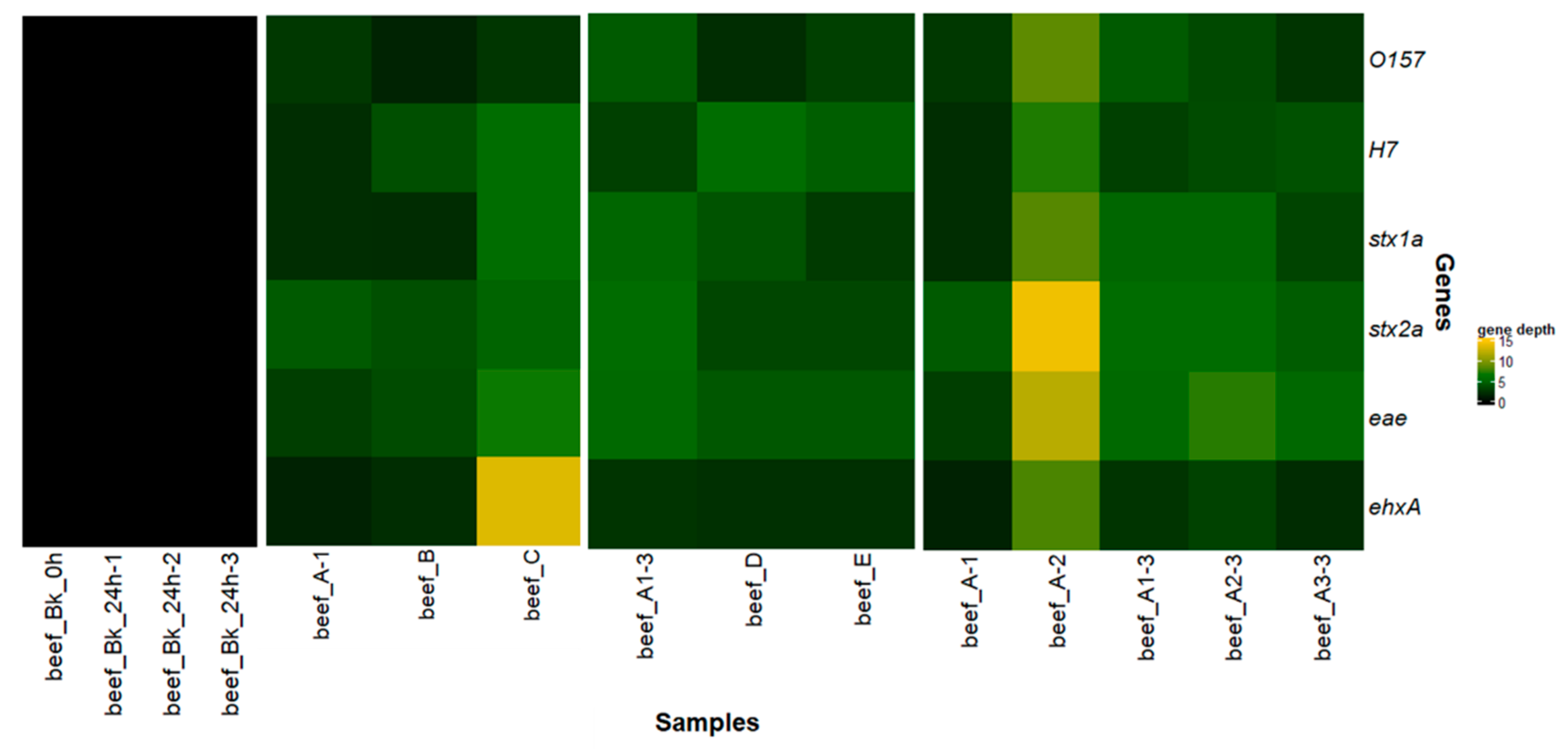 Microorganisms 08 01191 g004 Microorganisms 08 01191 g004