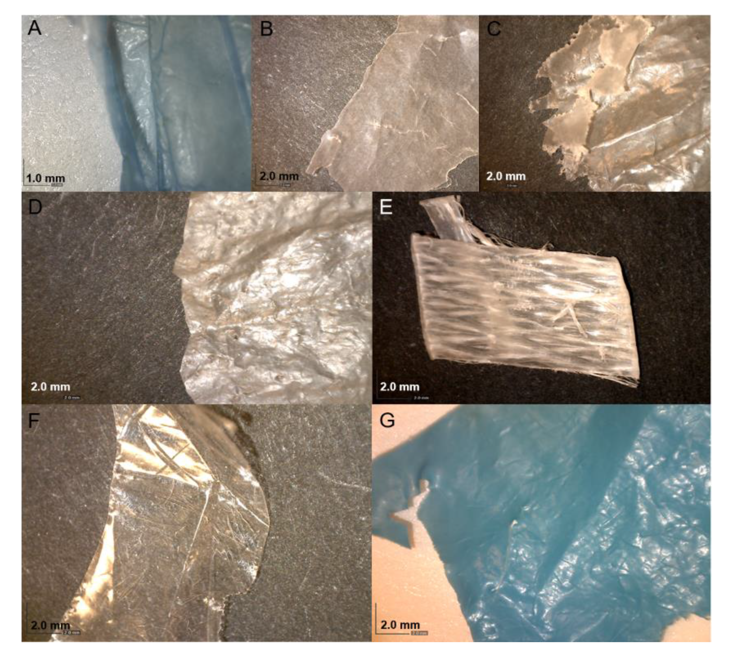 Microorganisms 08 01200 g001
