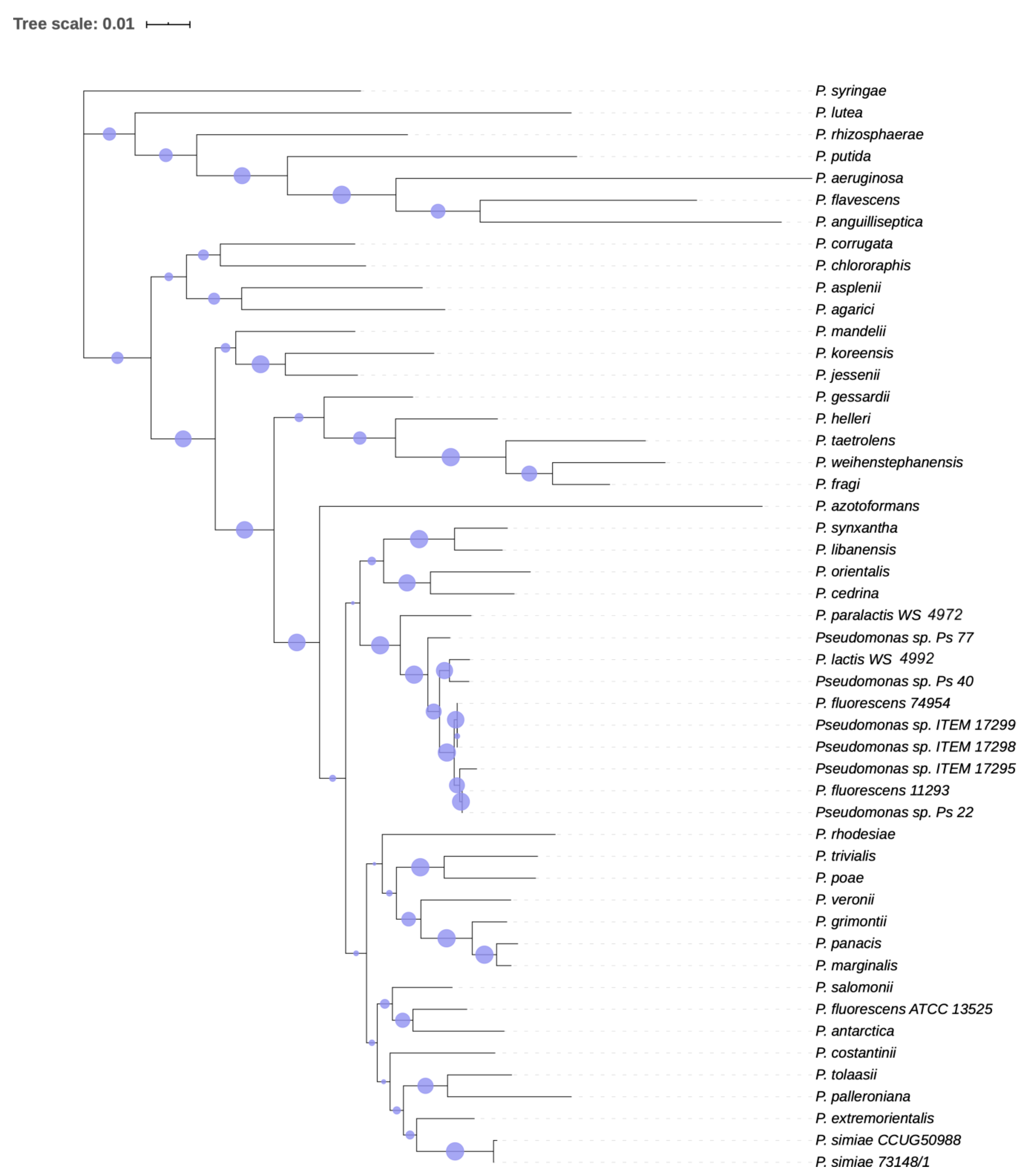 Microorganisms 08 01208 g001