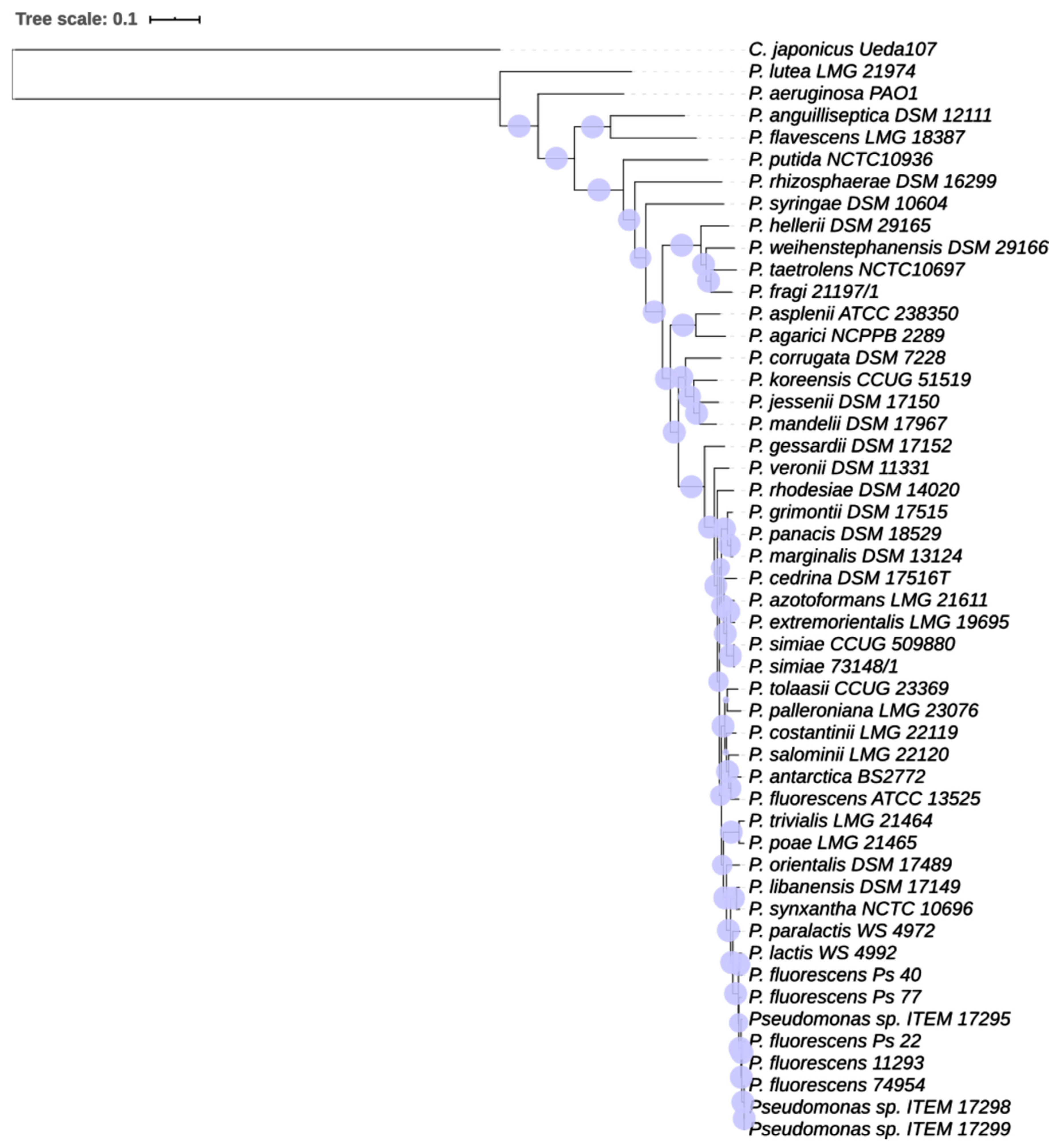 Microorganisms 08 01208 g002
