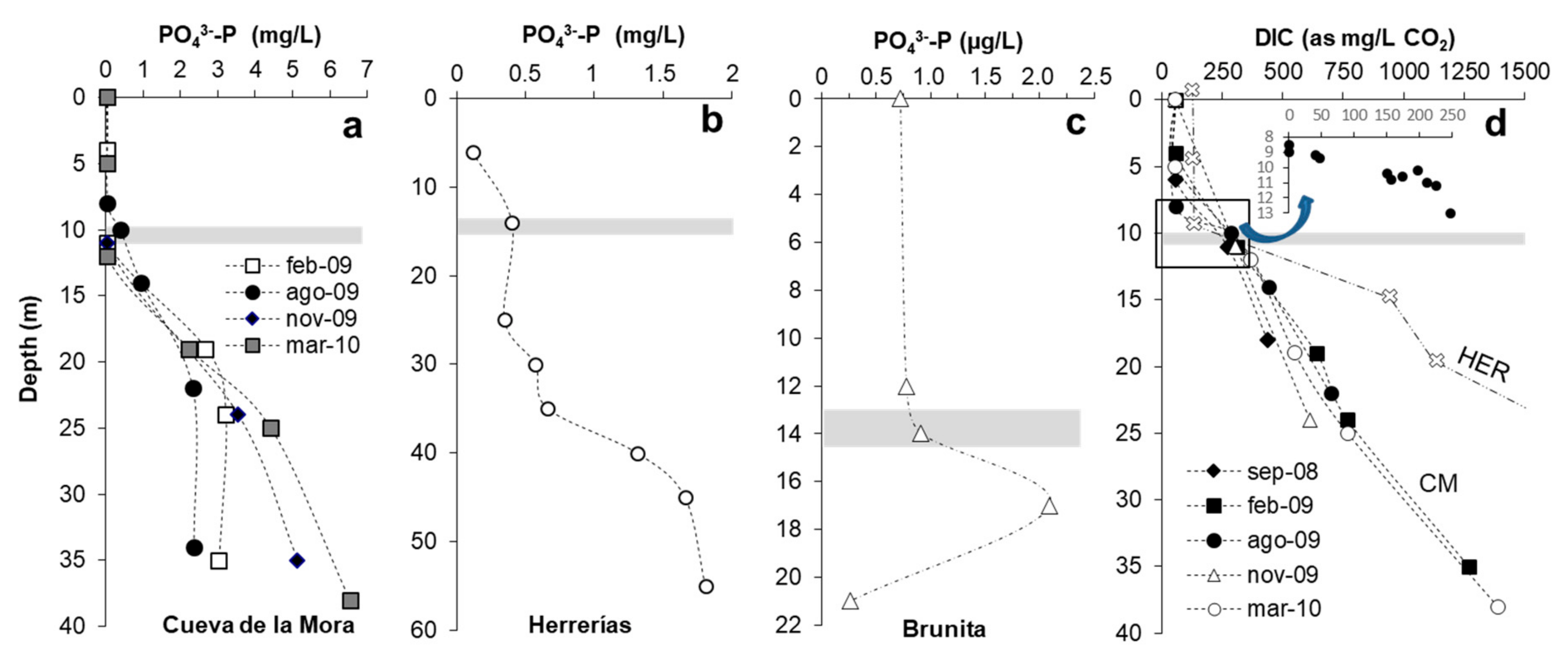 Microorganisms 08 01218 g008 Microorganisms 08 01218 g008