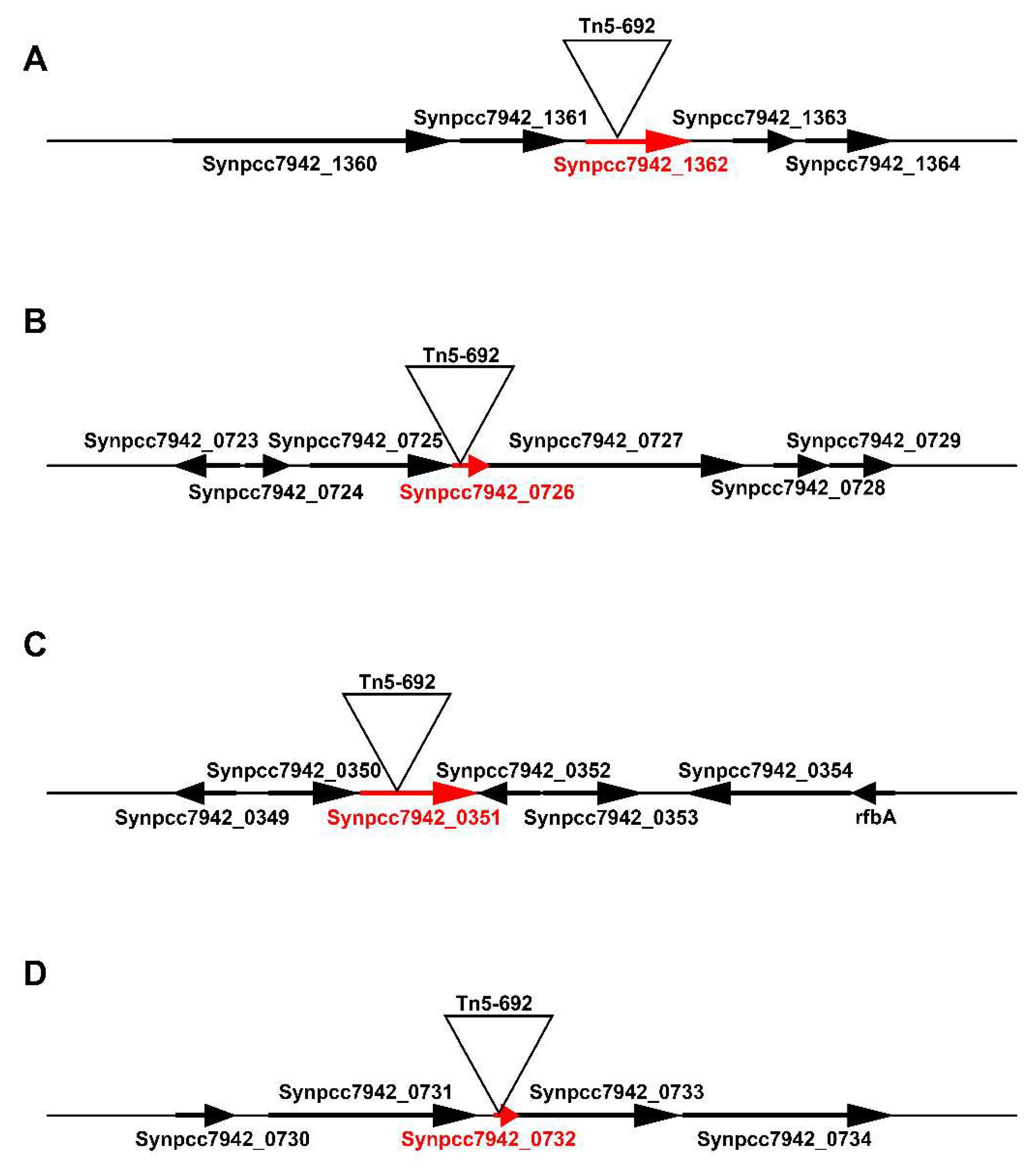 Microorganisms 08 01234 g002
